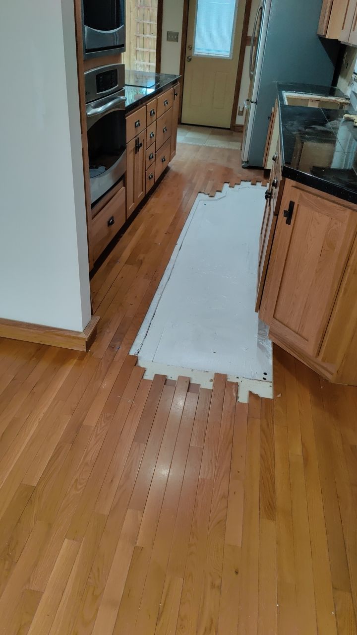 Mold Damage by Accountable Home Services