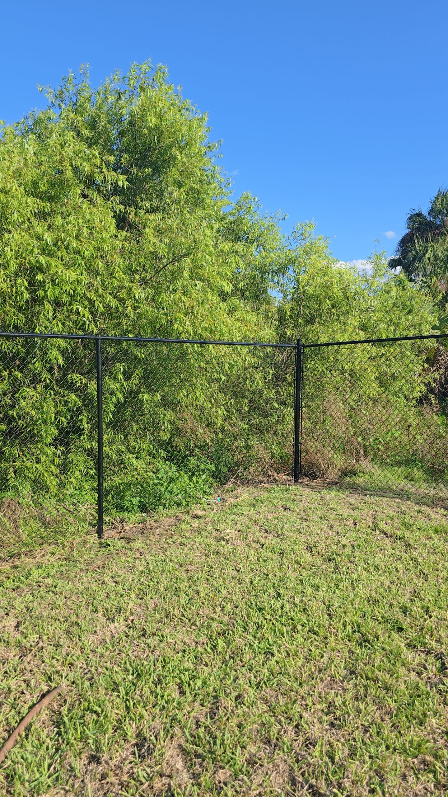 Chain Link Fence in Lehigh Acres by True Fence LLC