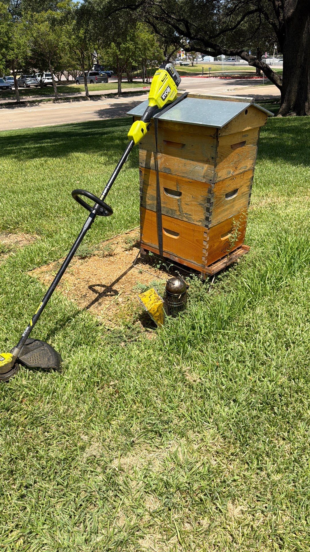 Addison by Rockwall Honey Bee Company