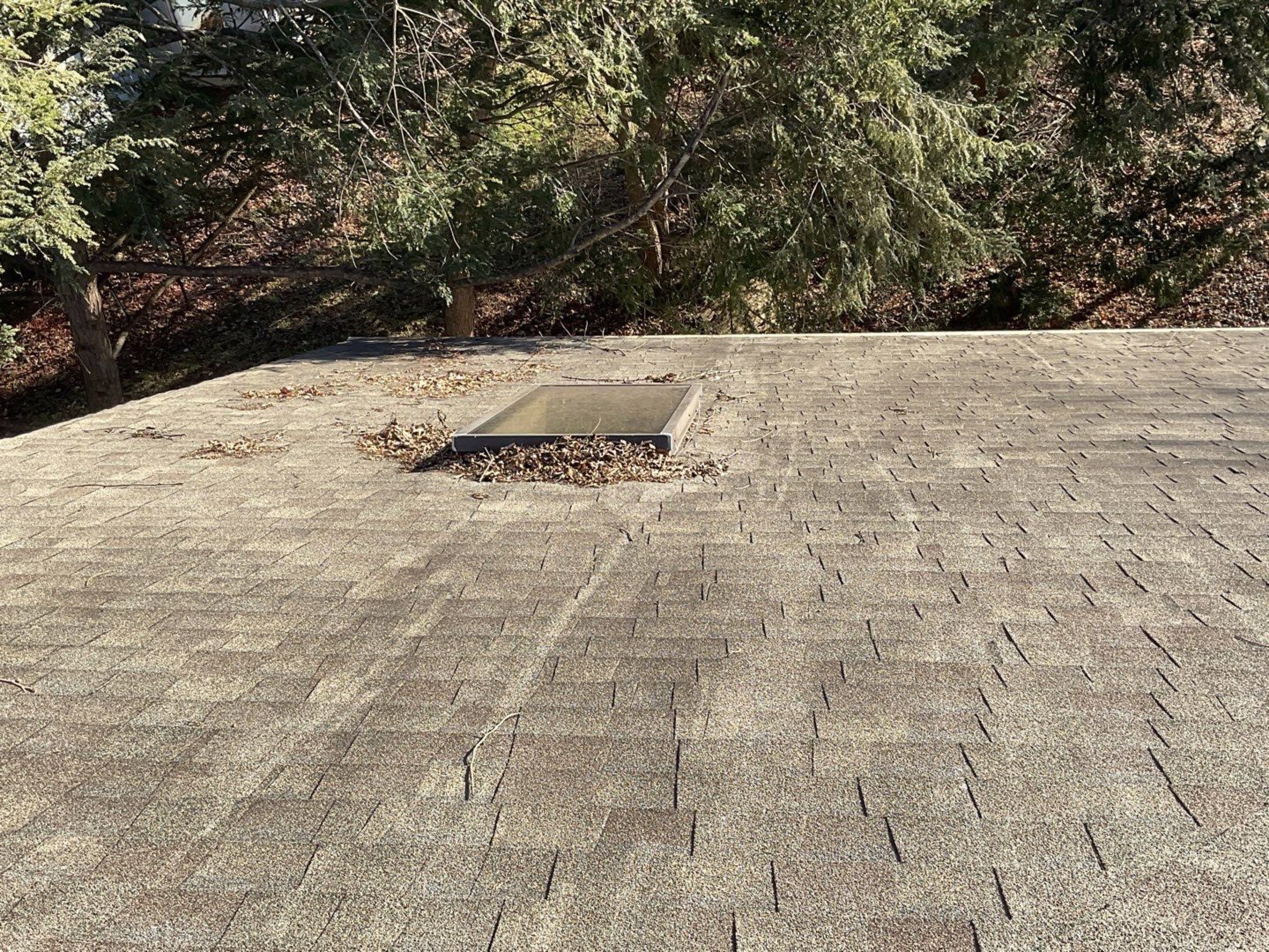 Install new shingles and new skylights  by Alpha Design Services