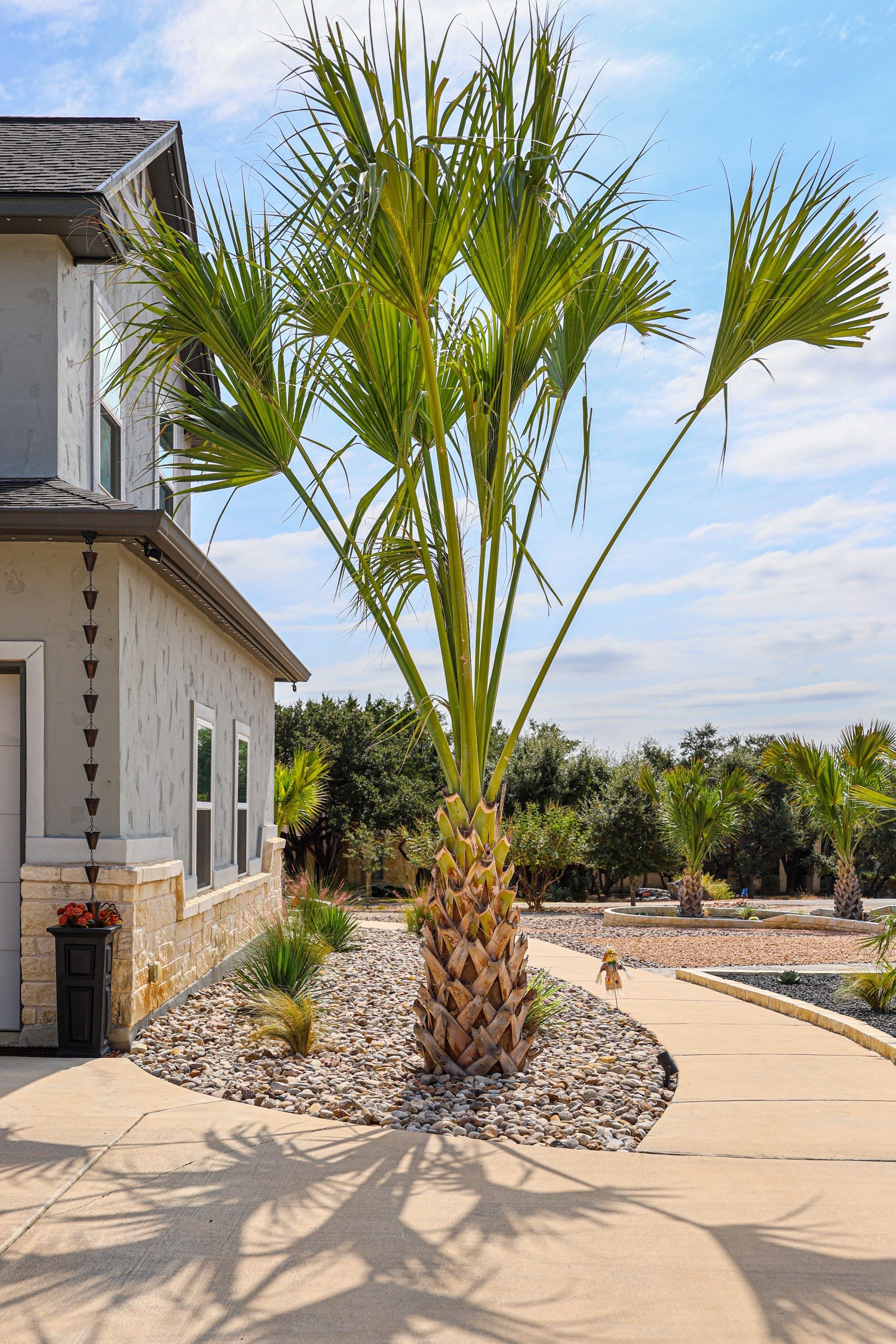Mountain Spring - Canyon Lake, TX by Hole In One Lawns, LLC