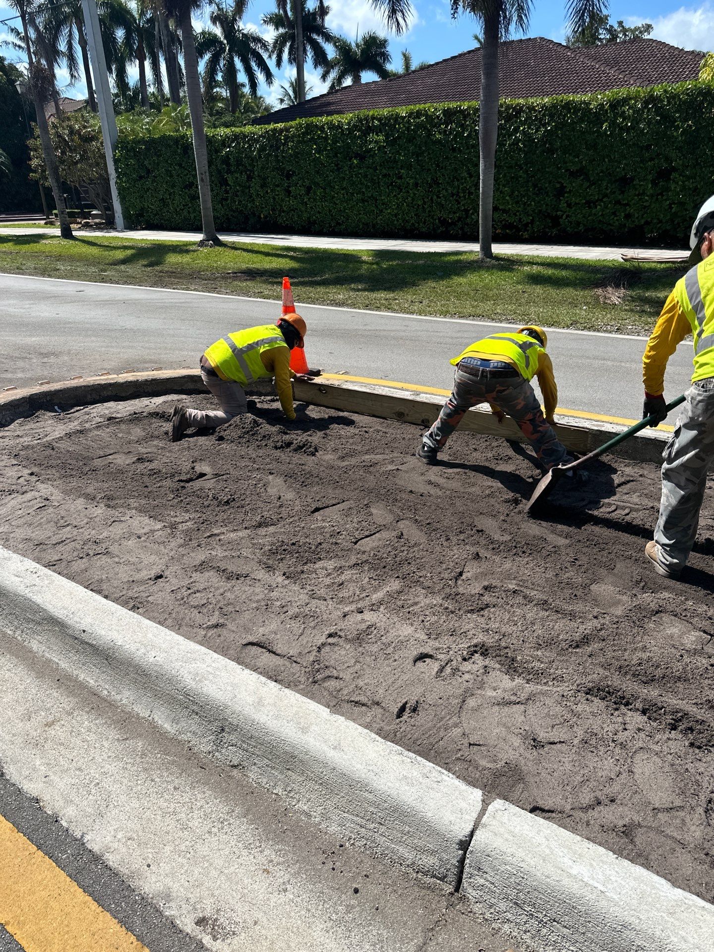 Pinecrest Median - New Native Landscape by Nature's Dream by Nature's Dream Landscape and Tree Service