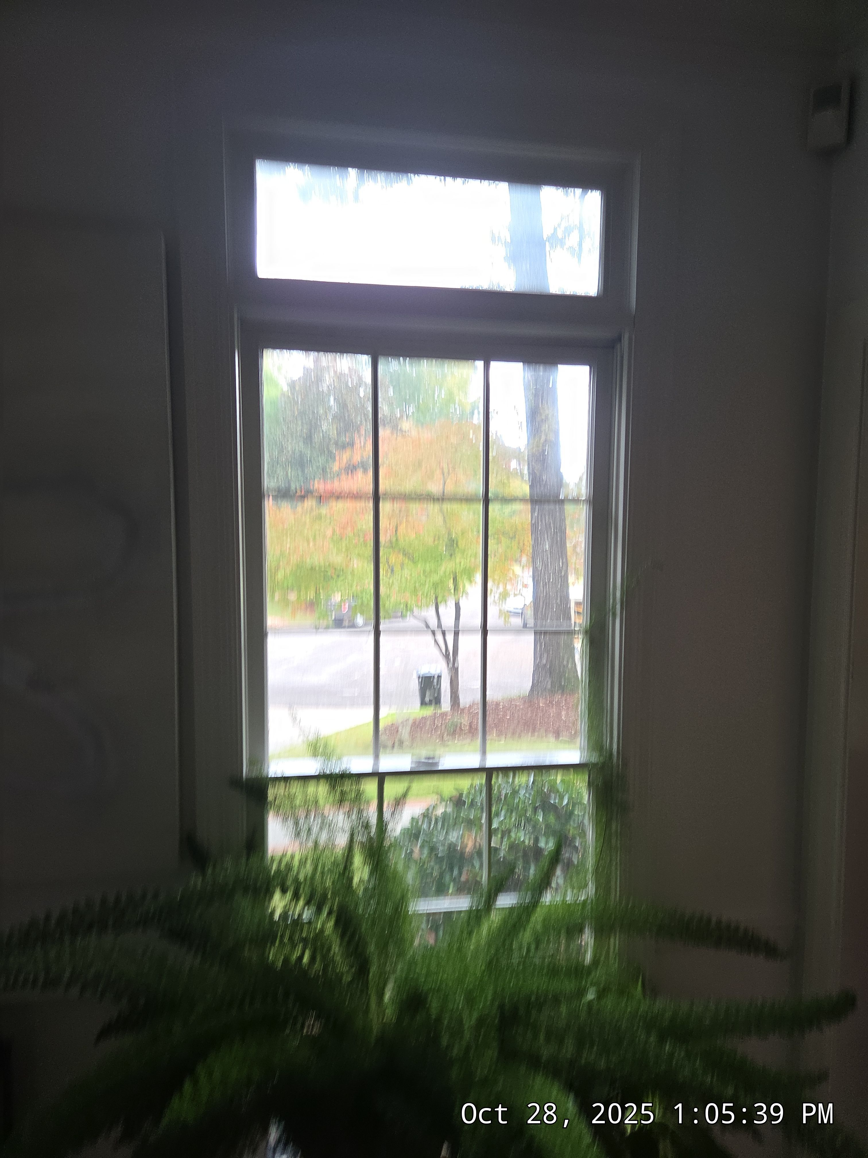 Flowers Project in Vestavia Hills, AL by The Window Source