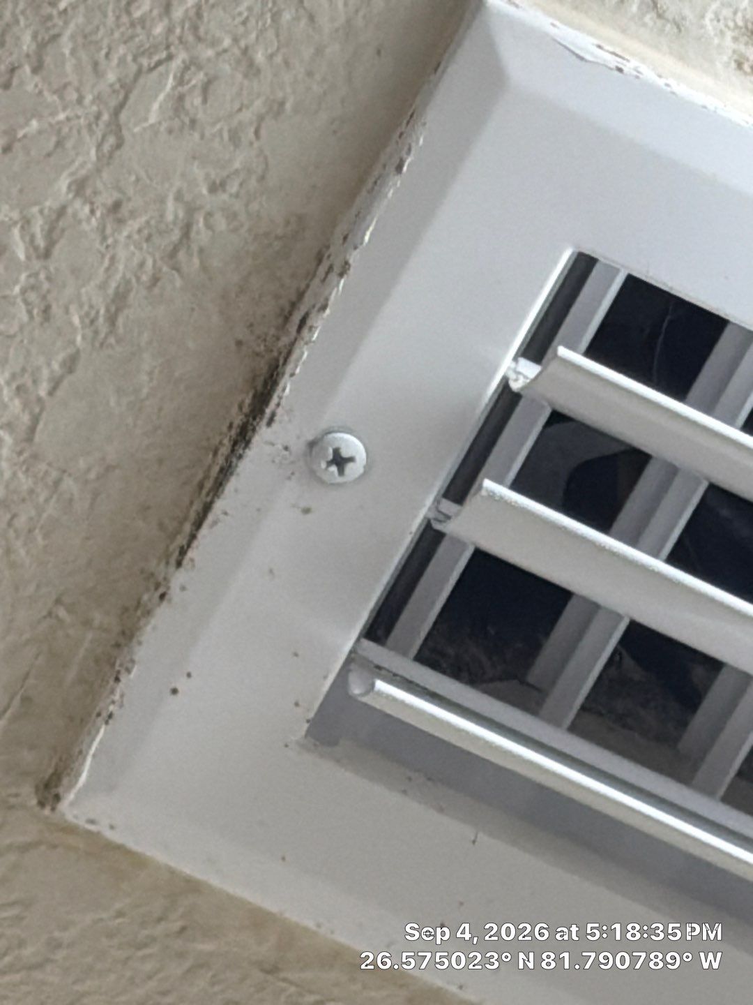 Comprehensive HVAC Vent and Interior Surface Remediation in Fort Myers by Microscope