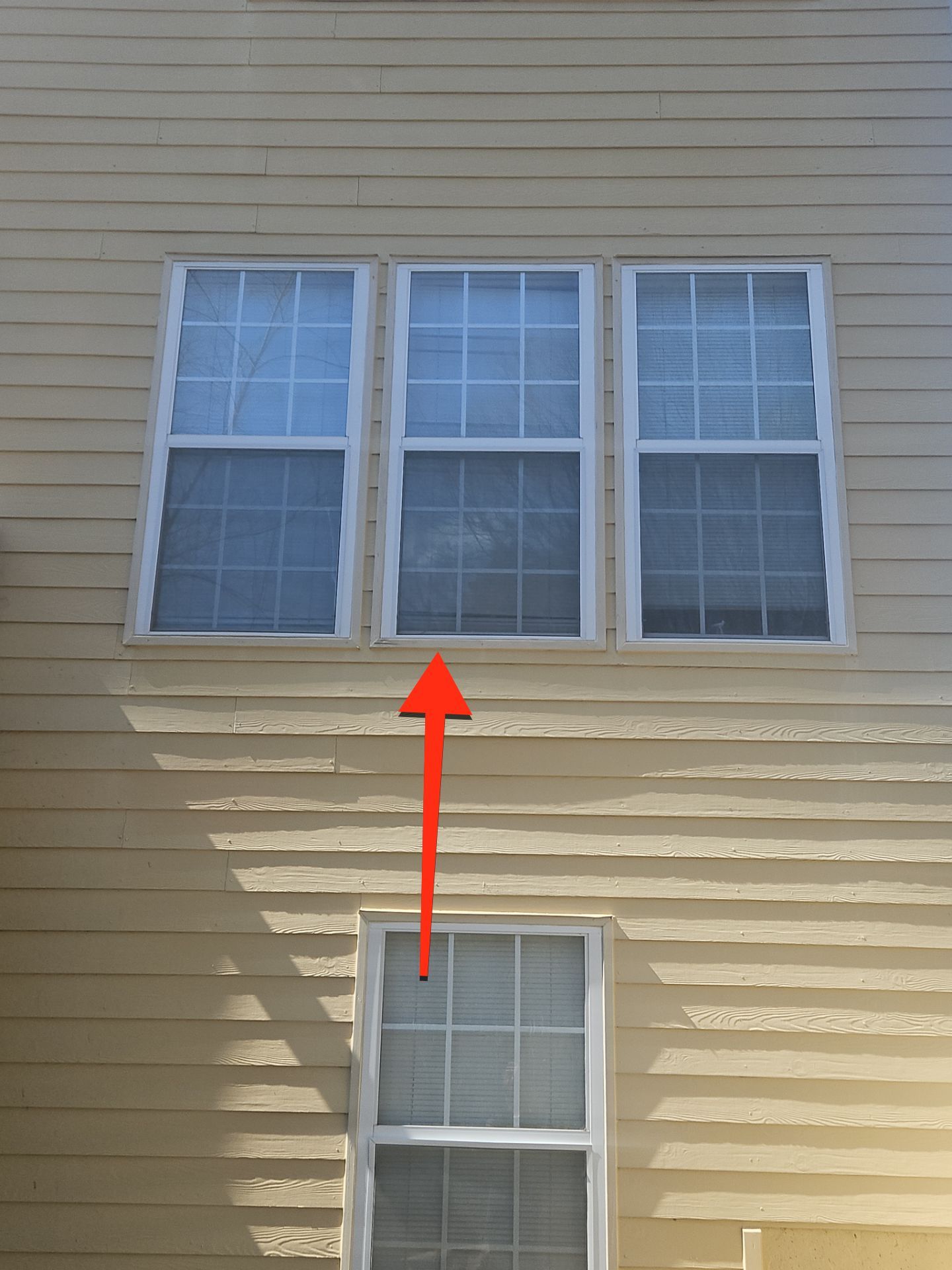 Rotten Wood Replacement Plus Stucco & Siding Painting  by Nelson Exteriors 