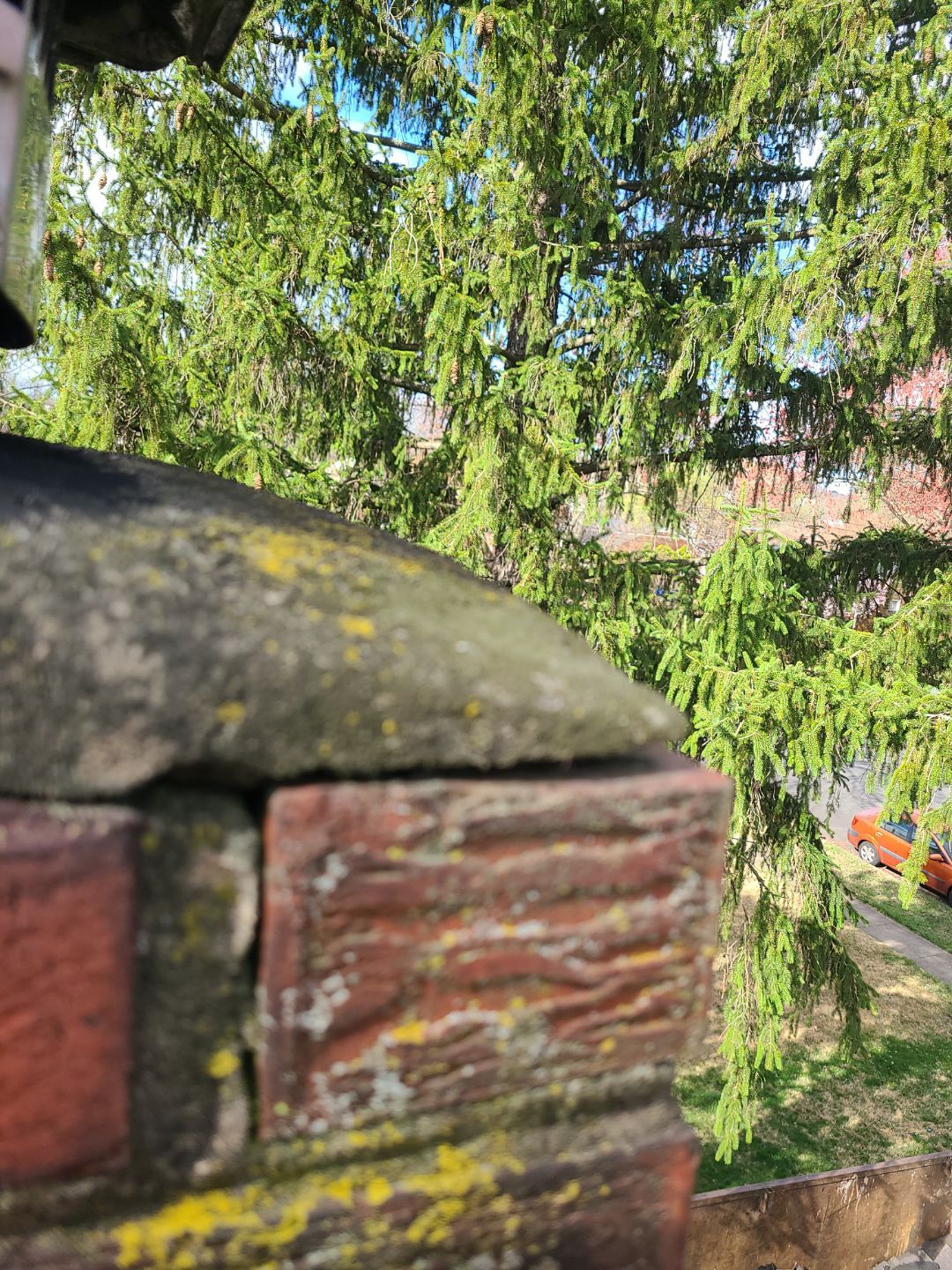 Alexandria CertainTeed Landmark Pro Roof in Max Def Charcoal Black by RM Banning, Inc.