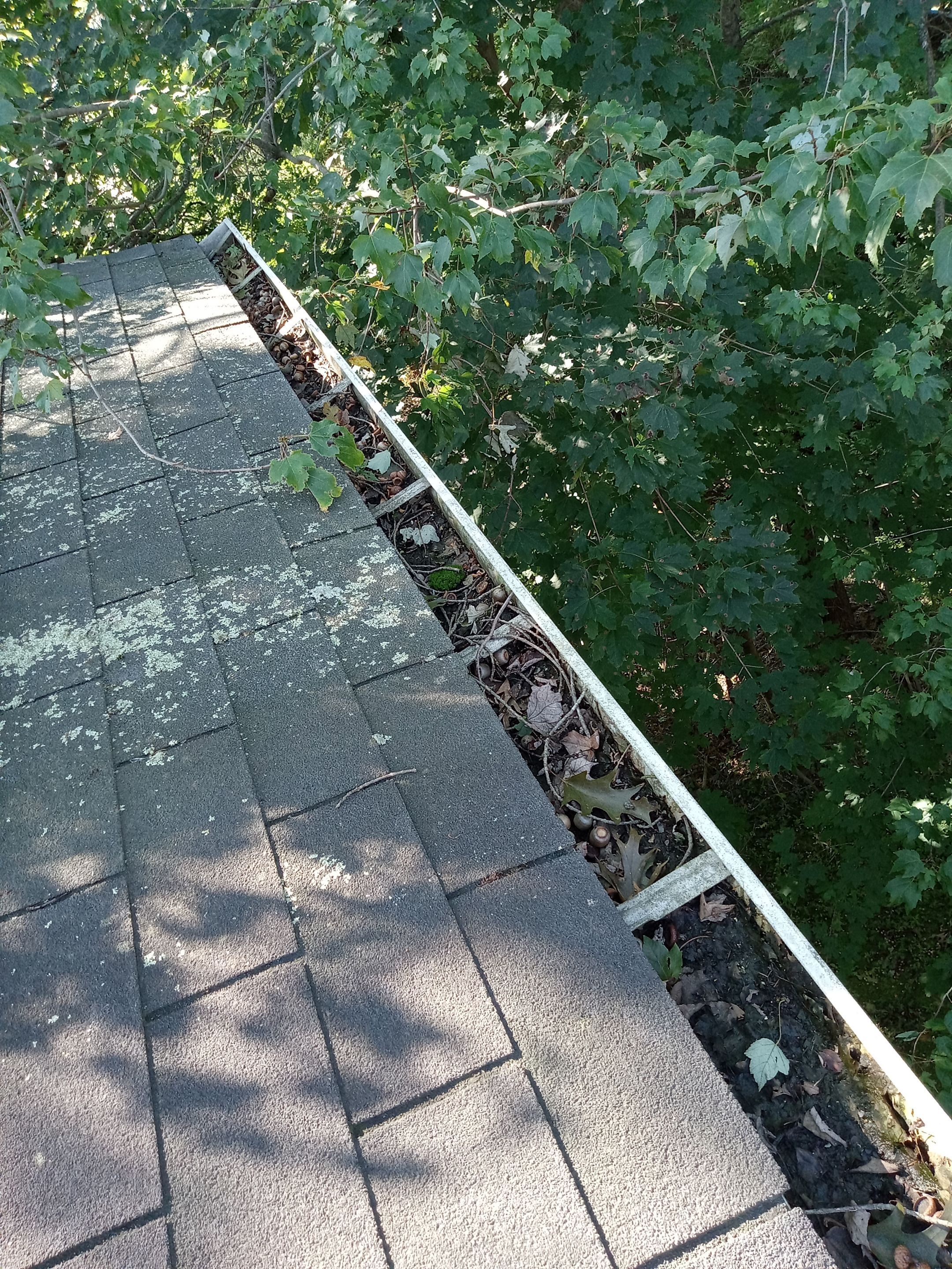 Commercial gutter cleaning Maine before photo with filled gutters