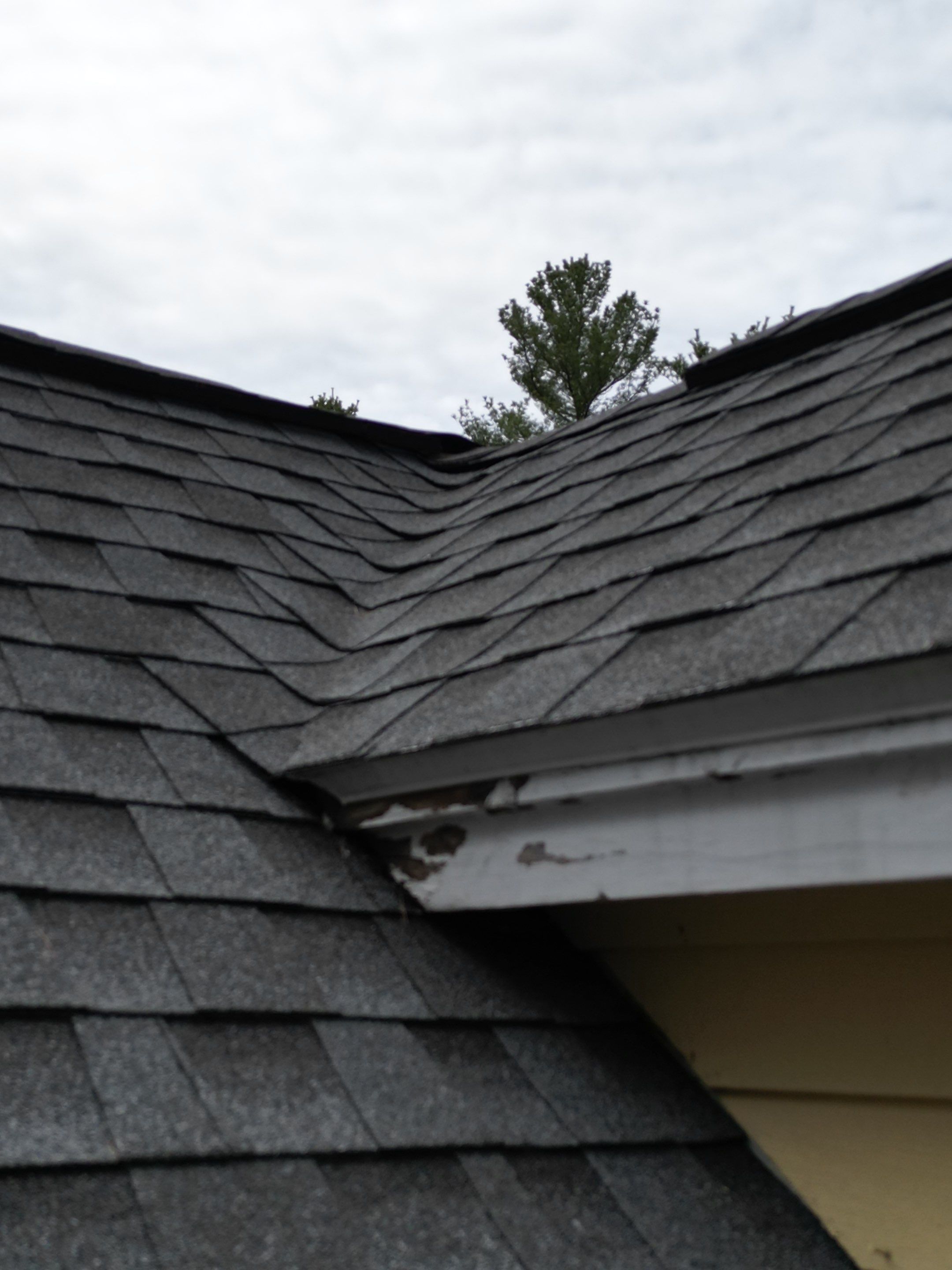 Siding | Dunstable by Mighty Dog Roofing of Greater Middlesex County