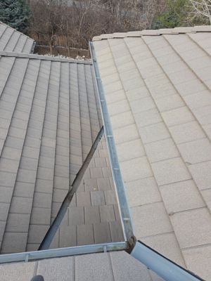 Gutters and Downspout Cleaning