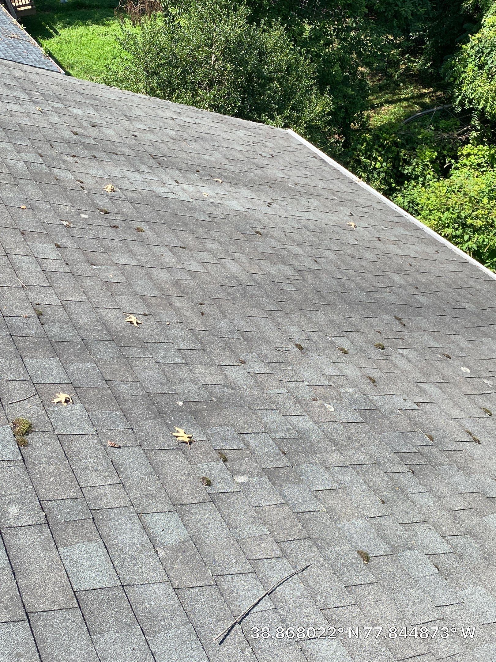 Marshall Roofing Project - Landmark Pro Max Def Pewterwood Designer Shingles by RM Banning, Inc.