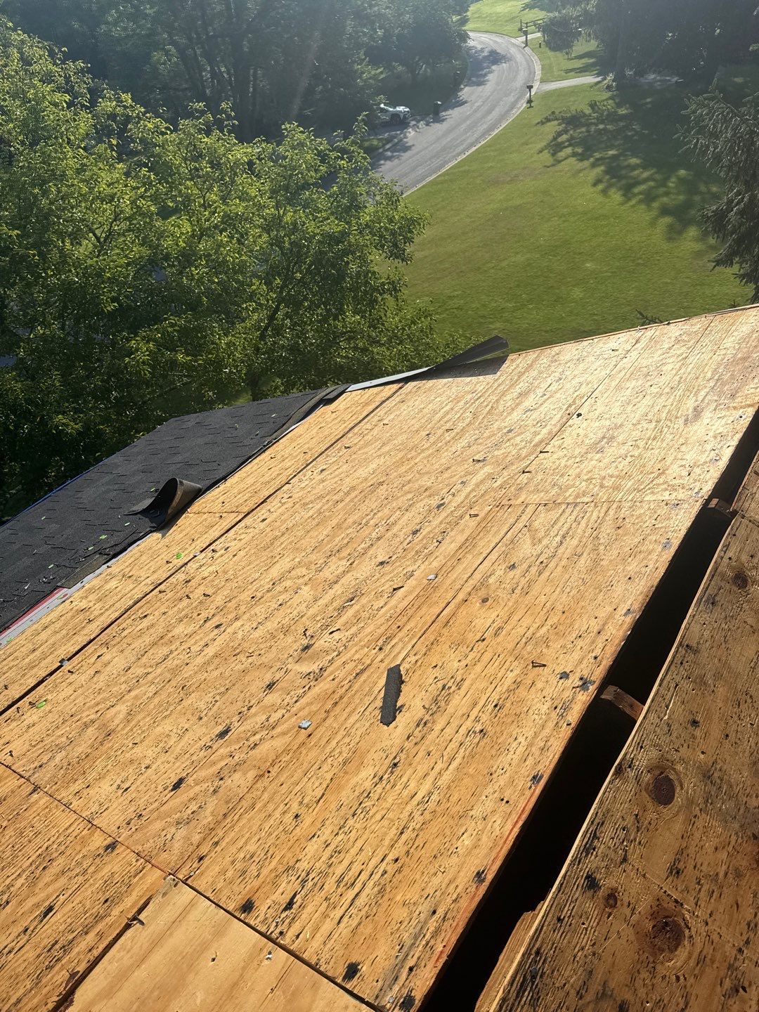 Project in Westminster by Elvis General Construction LLC