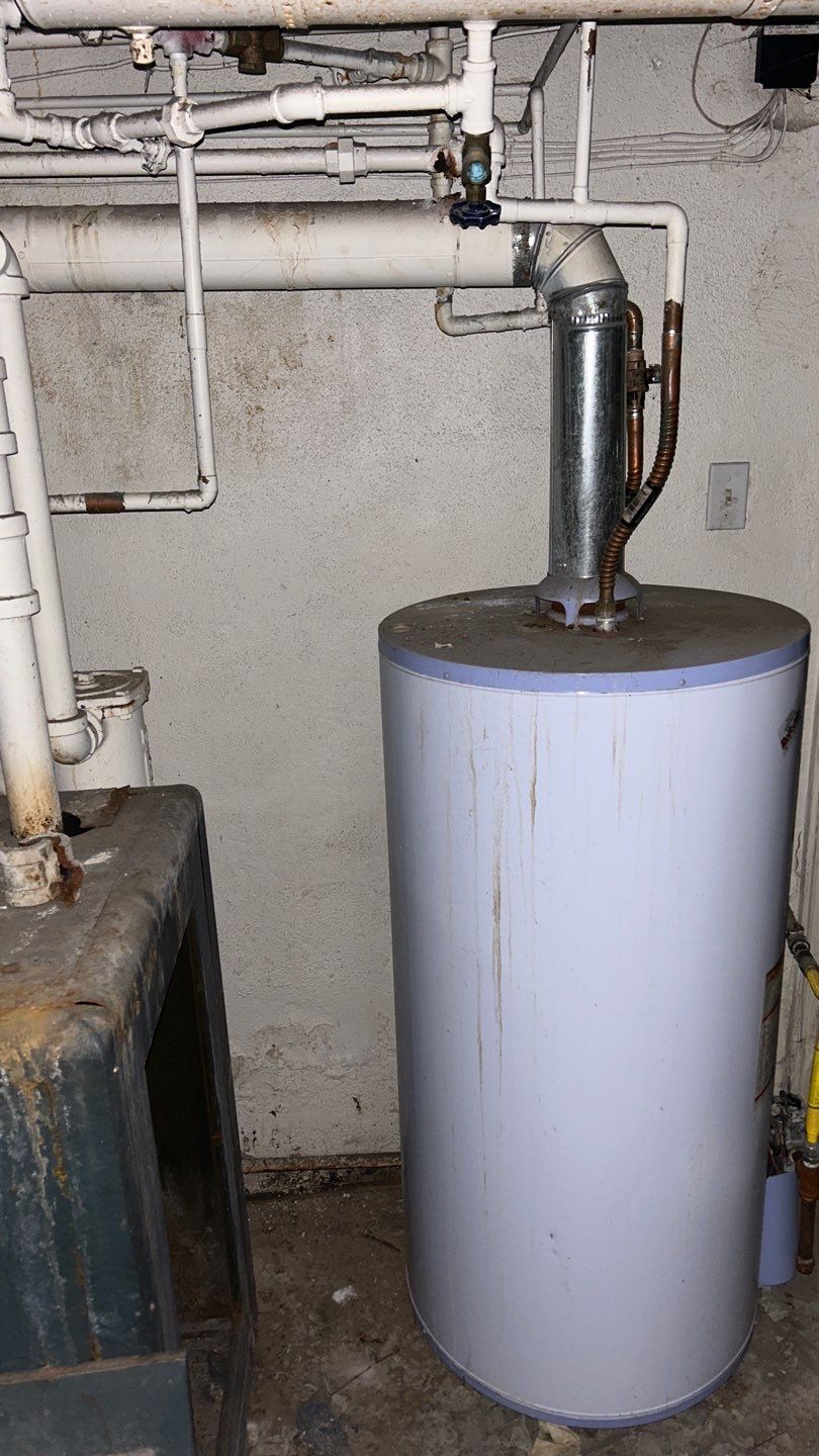 Mold Remediation by Accountable Home Services