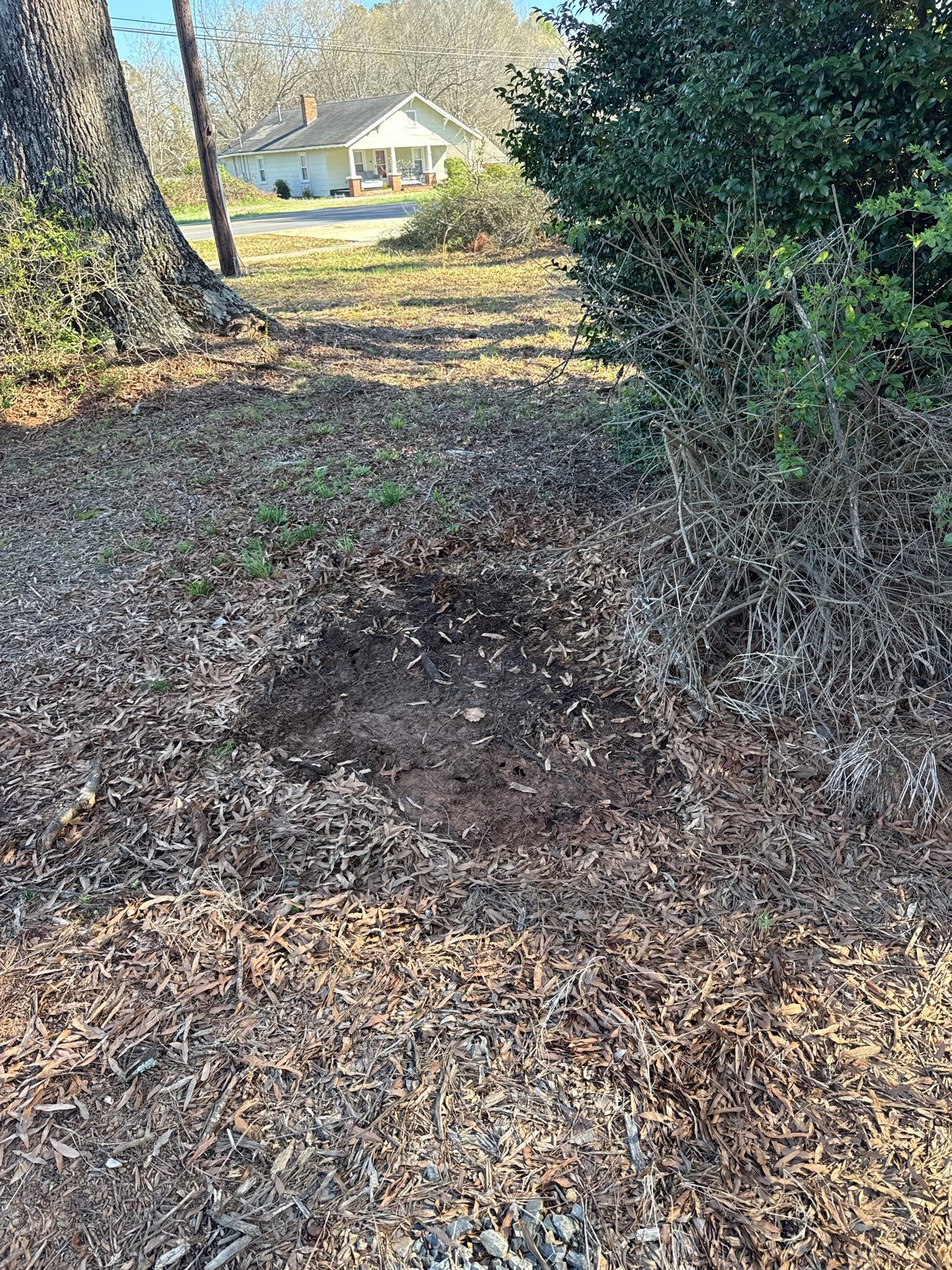 Property Clean Up by Badger Hauling