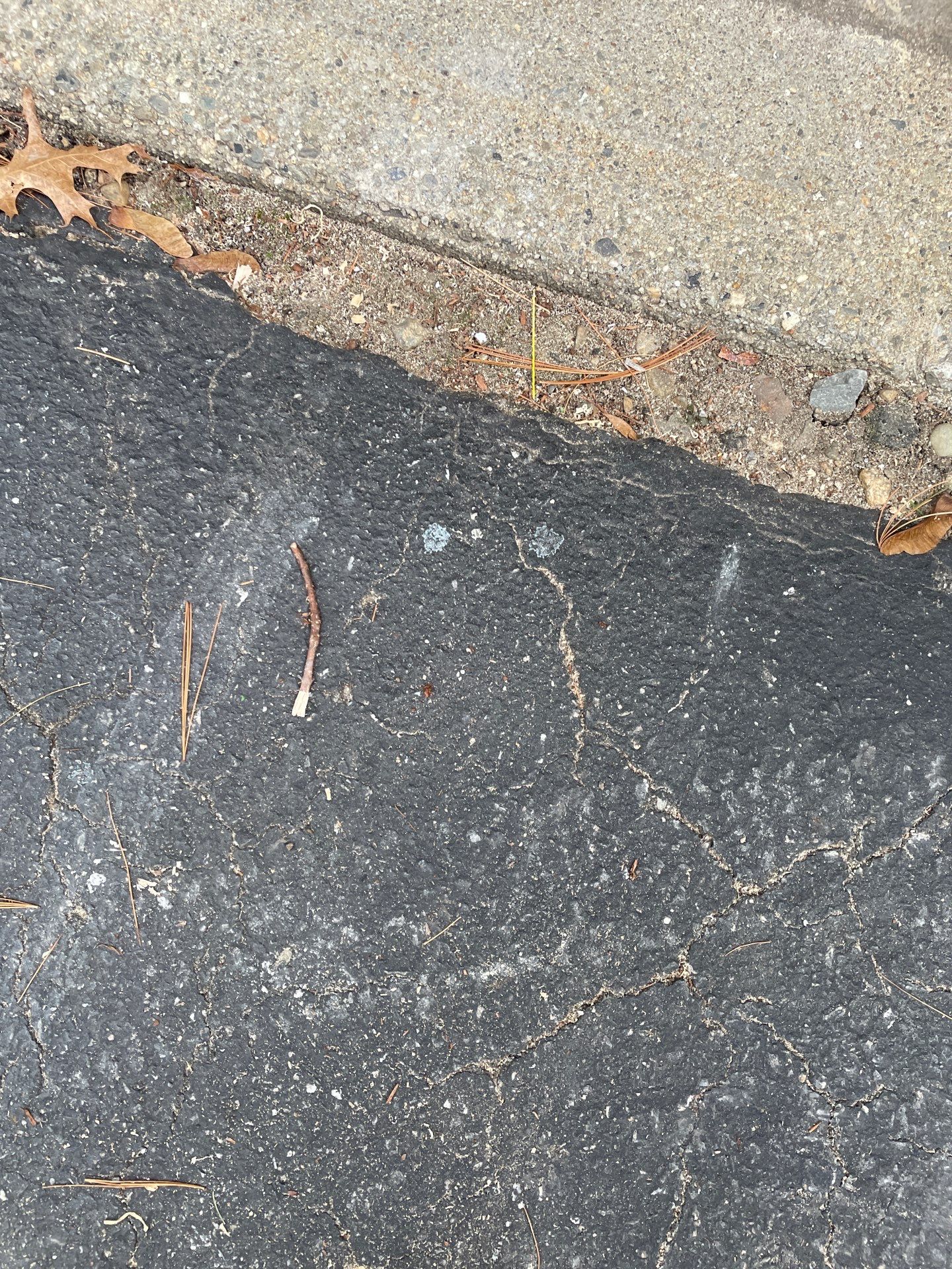 Maestranzi Garage TransFLOORmation by Symphony Concrete Coatings