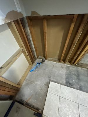 Mold Inspection & Removal