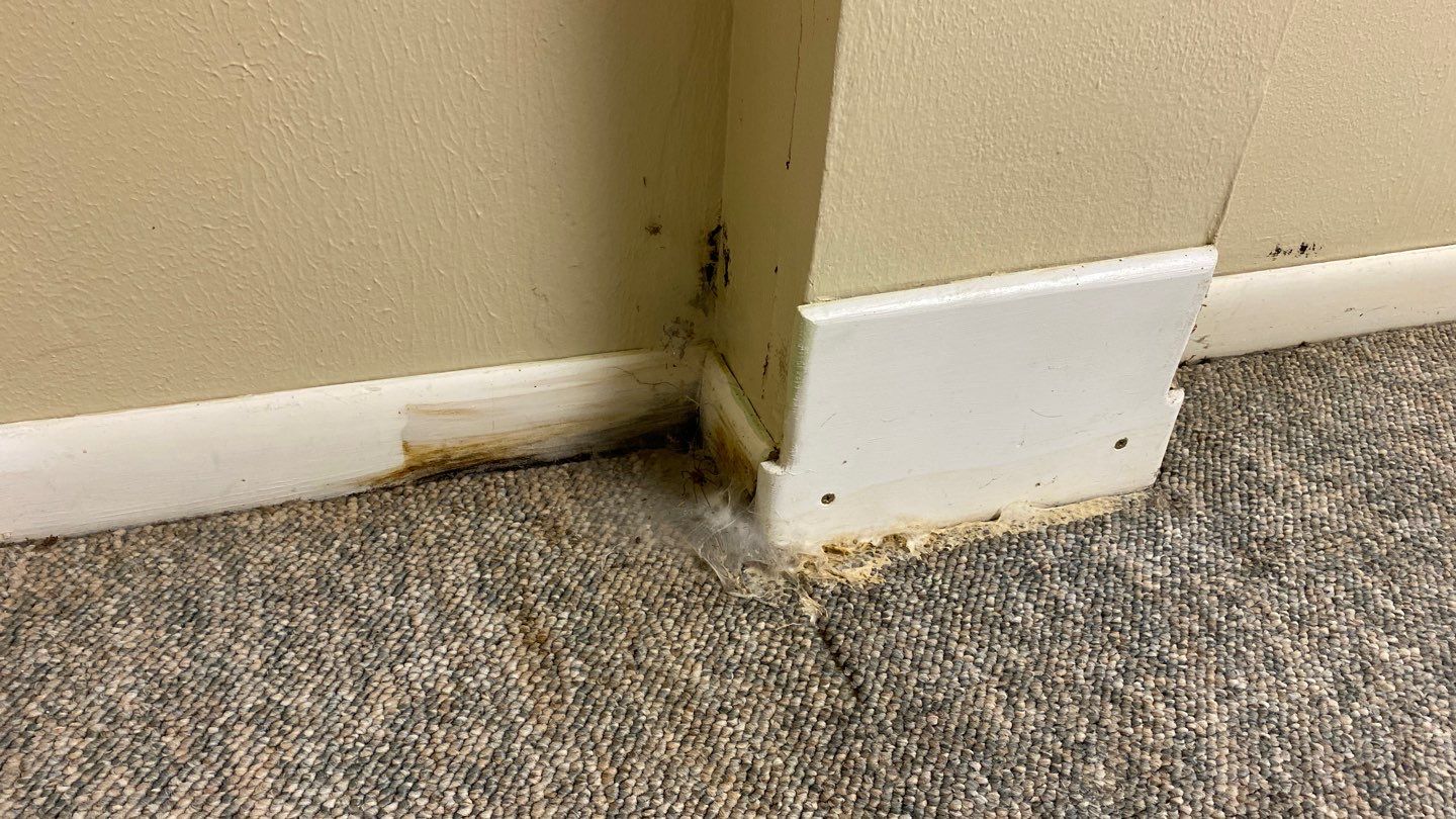 Water Damage  by Accountable Home Services