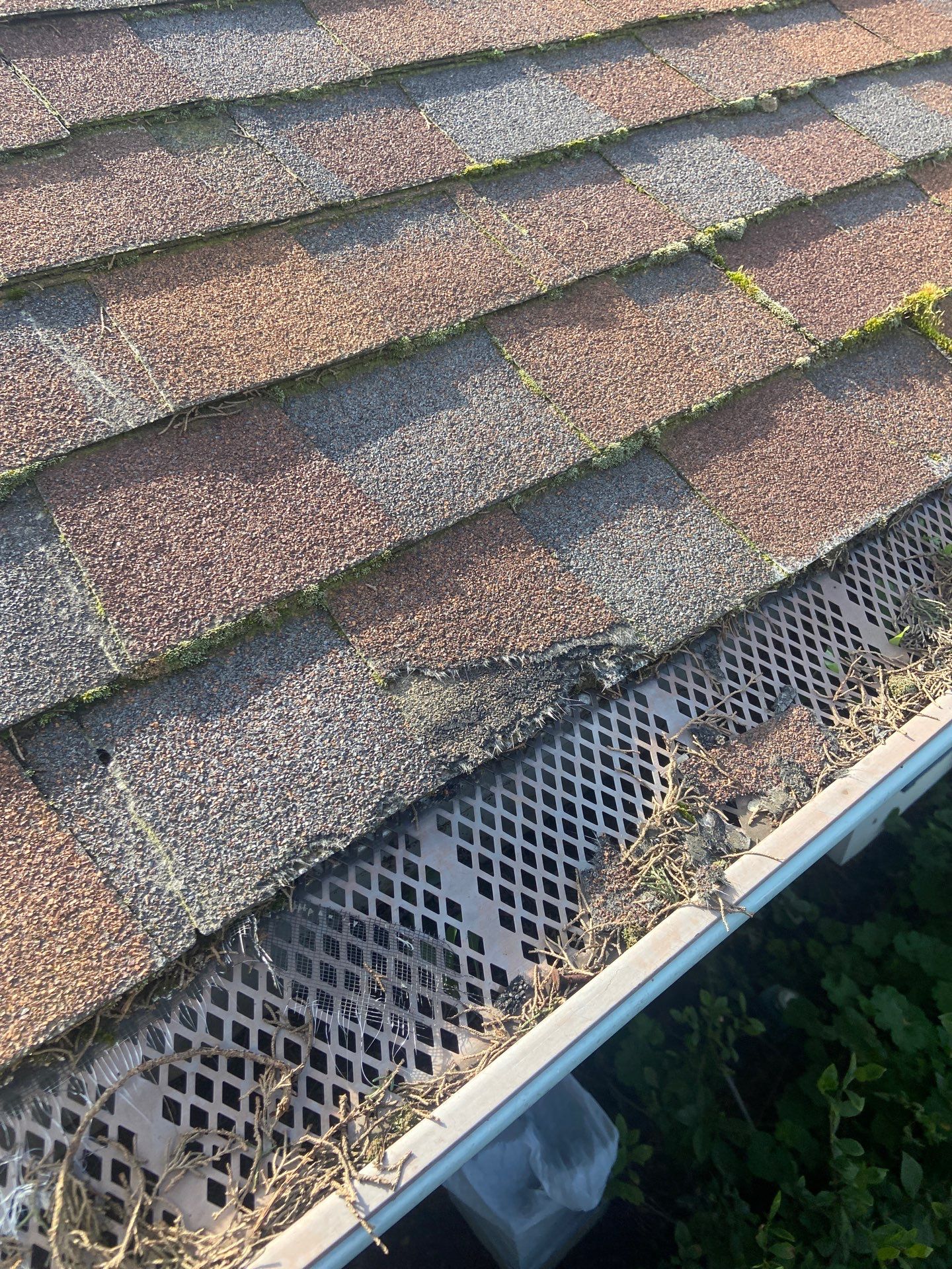 Roof Rejuvenation using Roof Maxx Treatment by Roof Maxx of Folsom