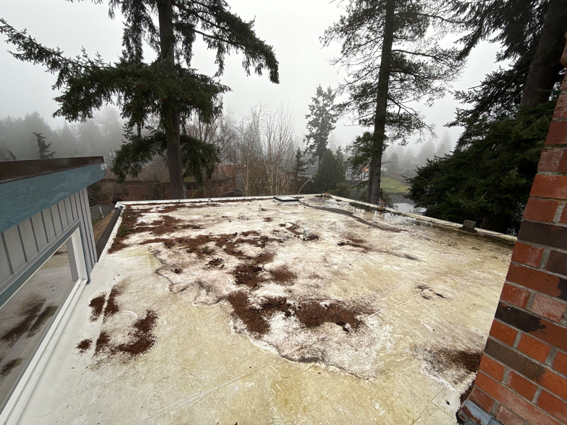 2025 Lynnwood Residential Overlay by Alternative Roofing Systems Inc. 