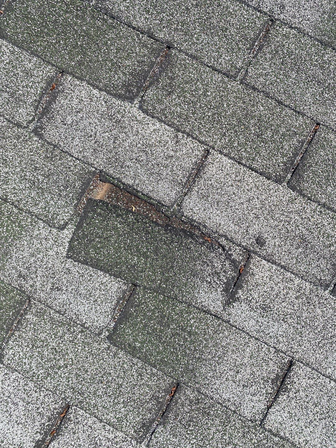 Elizabeth's Full Re-roof by All Storm Roofing & Construction