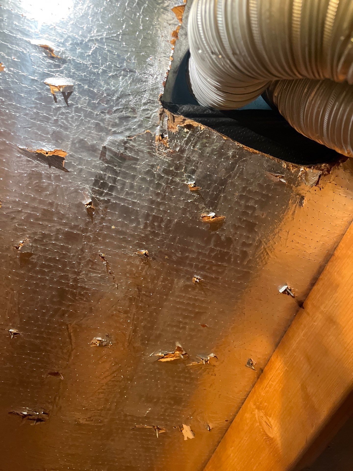 Hail Damage using Owen's Corning Duration (Lifetime) Shingles by Roof Repair Company
