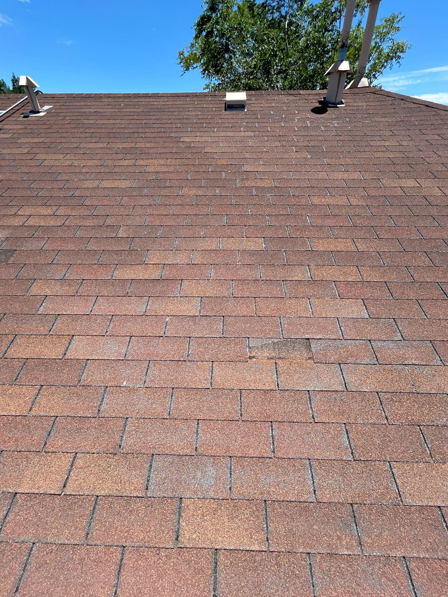 Autumn Brown Shingles by Reimagine Roofing