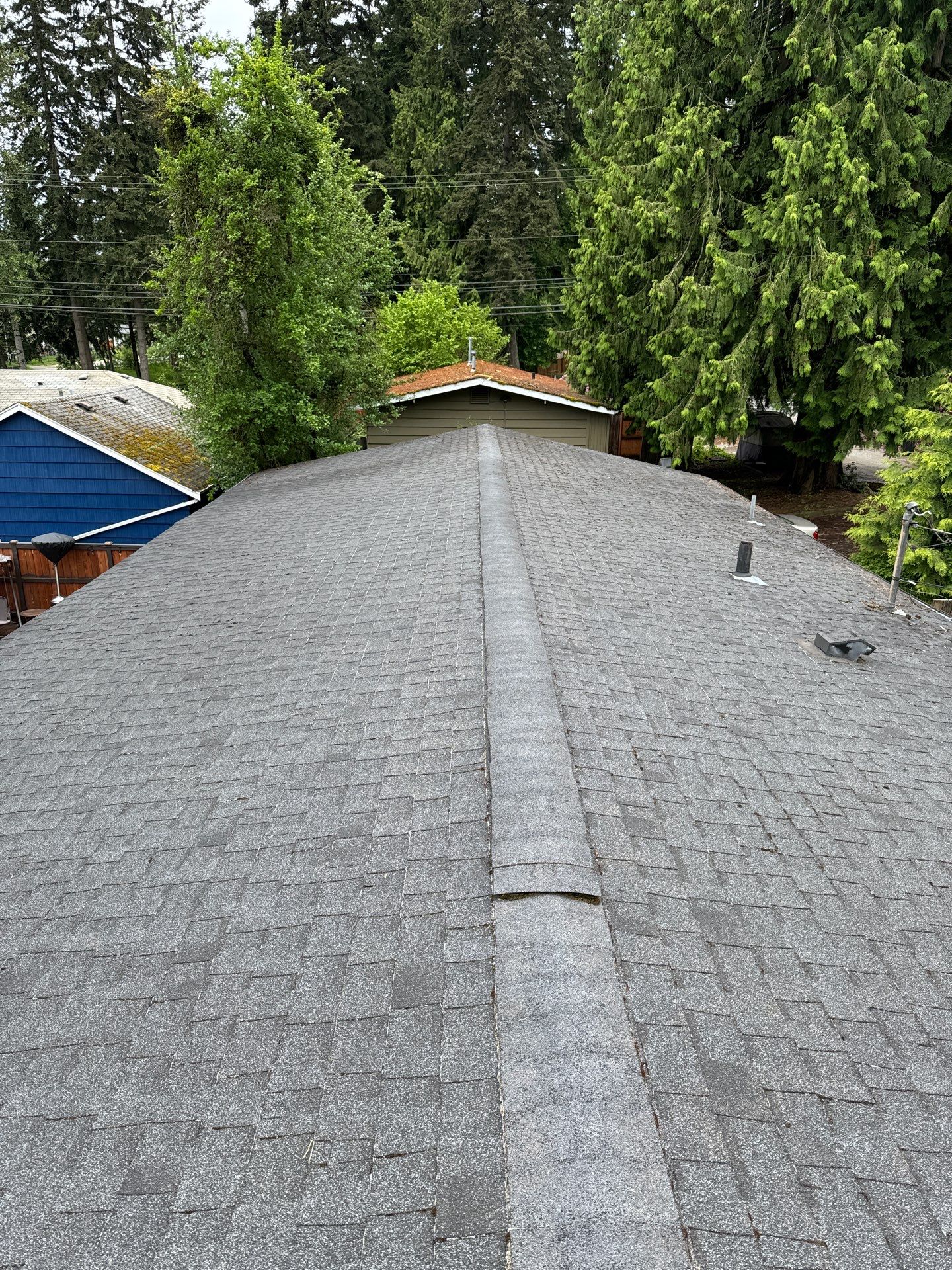 Project in Everett by Peaks and Valleys Construction