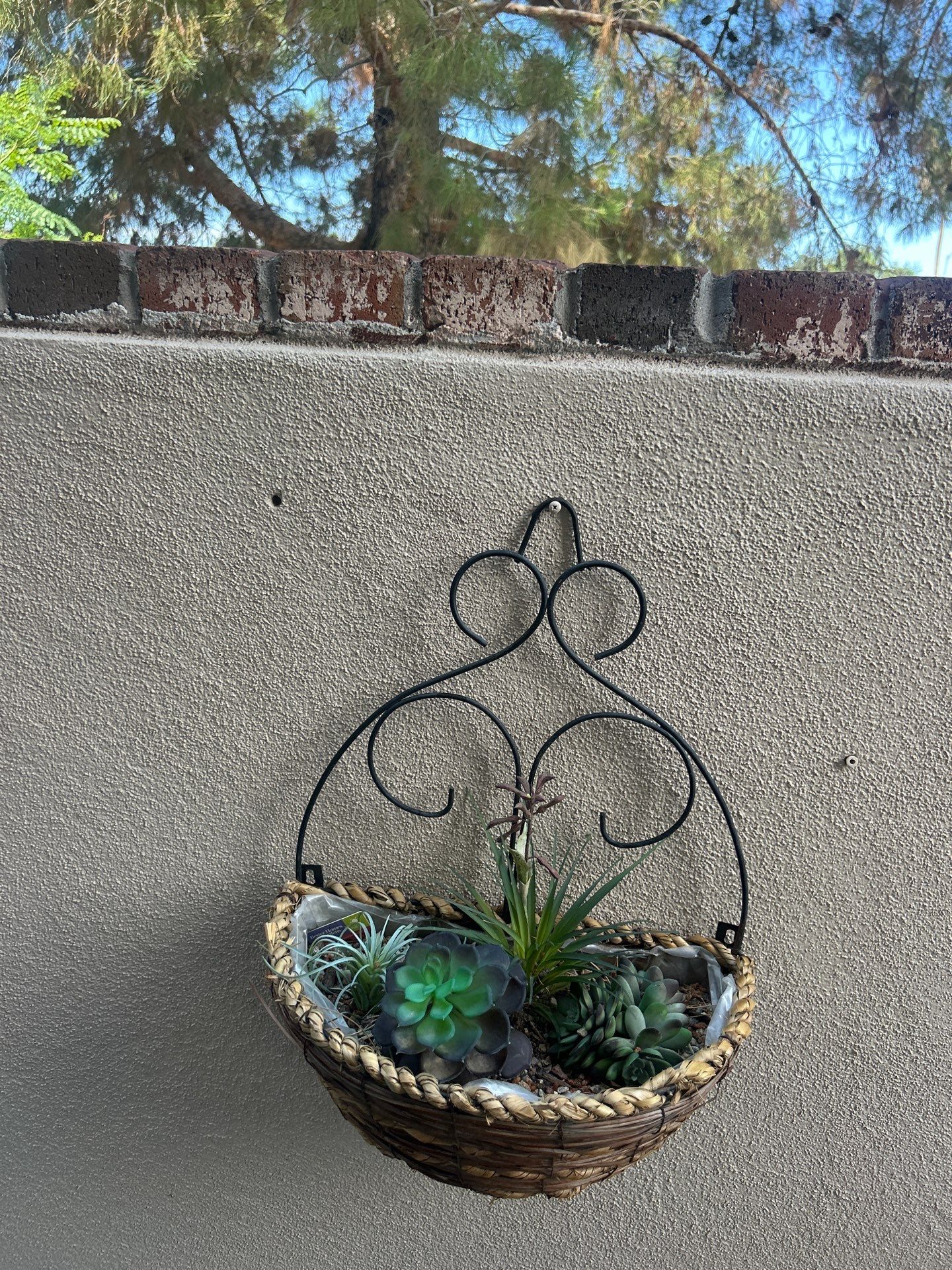 Project in Sun City by Crush Development Services LLC