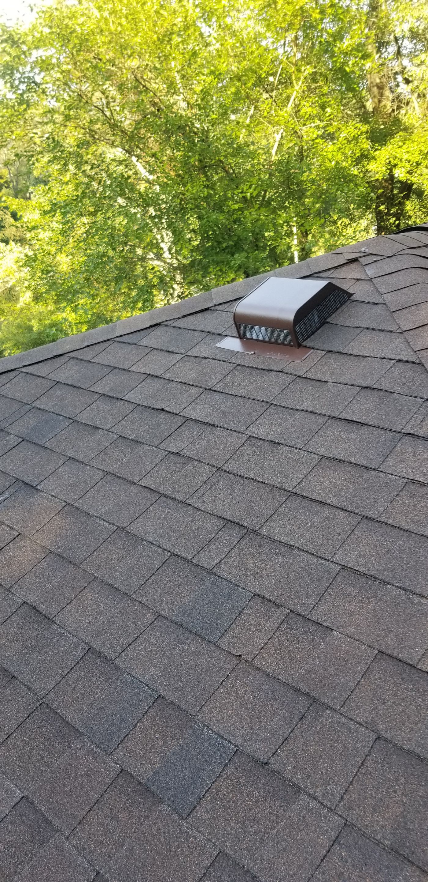 Atlas Pinnacle Pristine Scotchgard: Hickory Drip Edge: Musket brown by Eagle Eye Roofing
