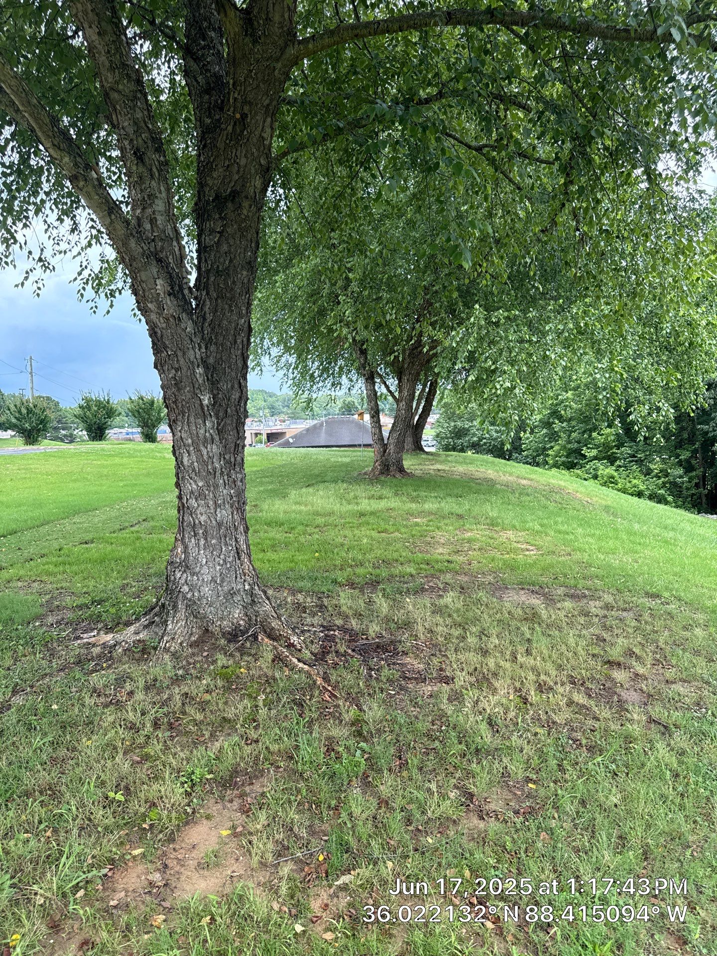 Harmony Hill  by Elite Proscapes LLC