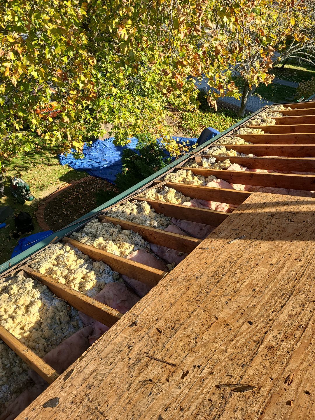 Arlington: Residential Roof Replacement with CertainTeed Landmark Pro Designer Shingles in Max Def Charcoal Black by RM Banning, Inc.