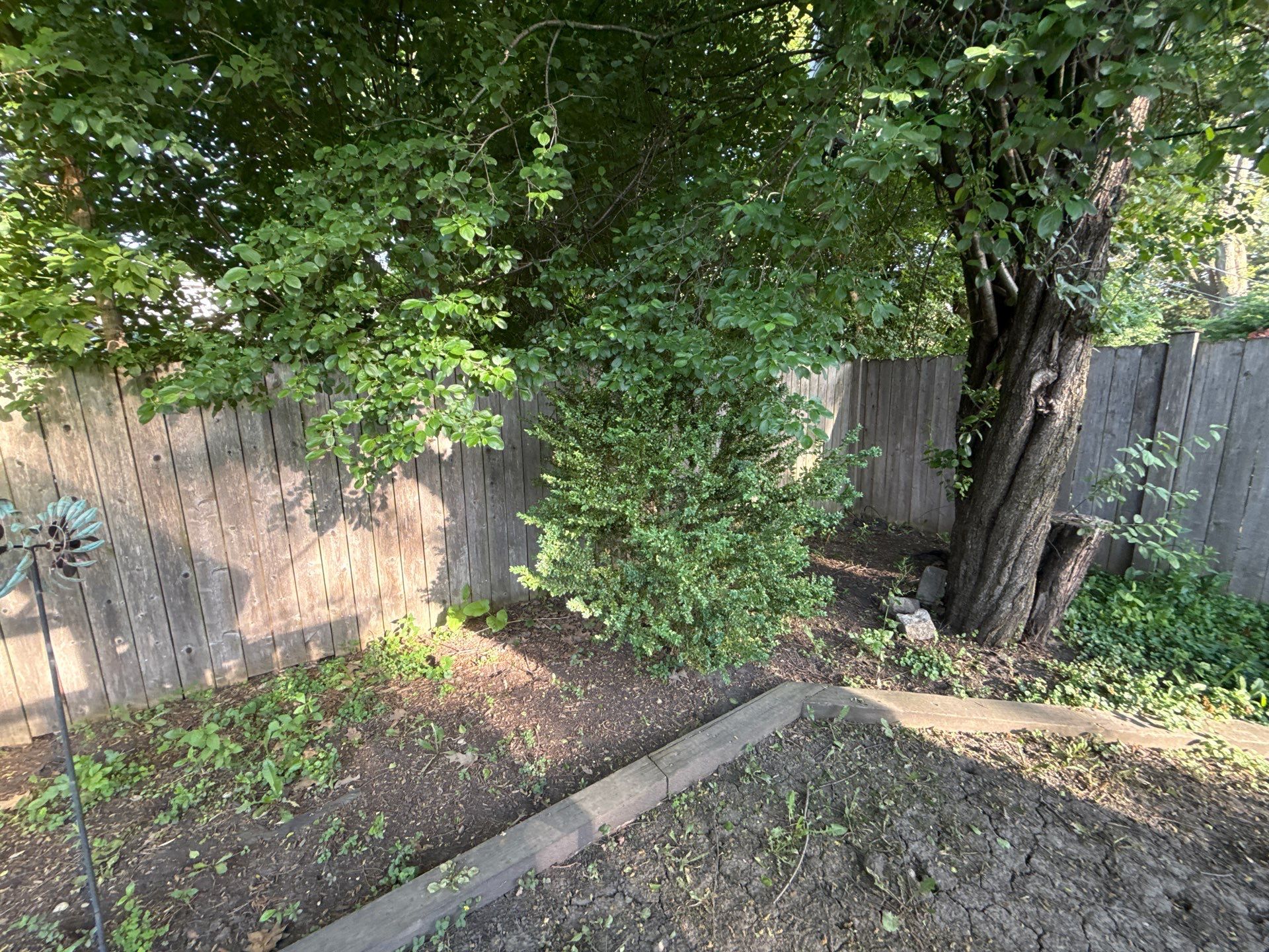 Bryan, F. - Arlington Heights, IL  by A&N 