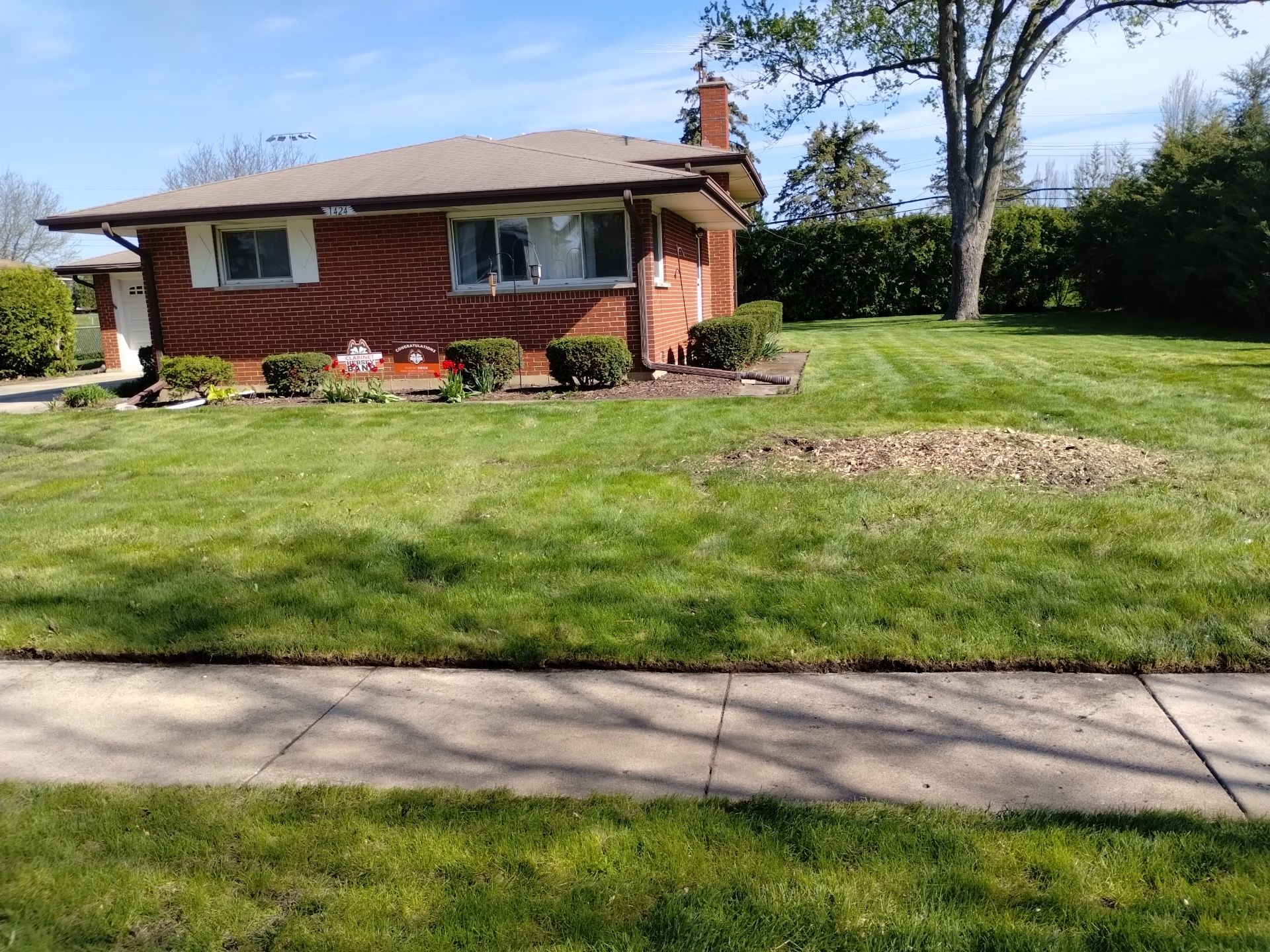 Martha C. - Mount Prospect, IL by A&N 