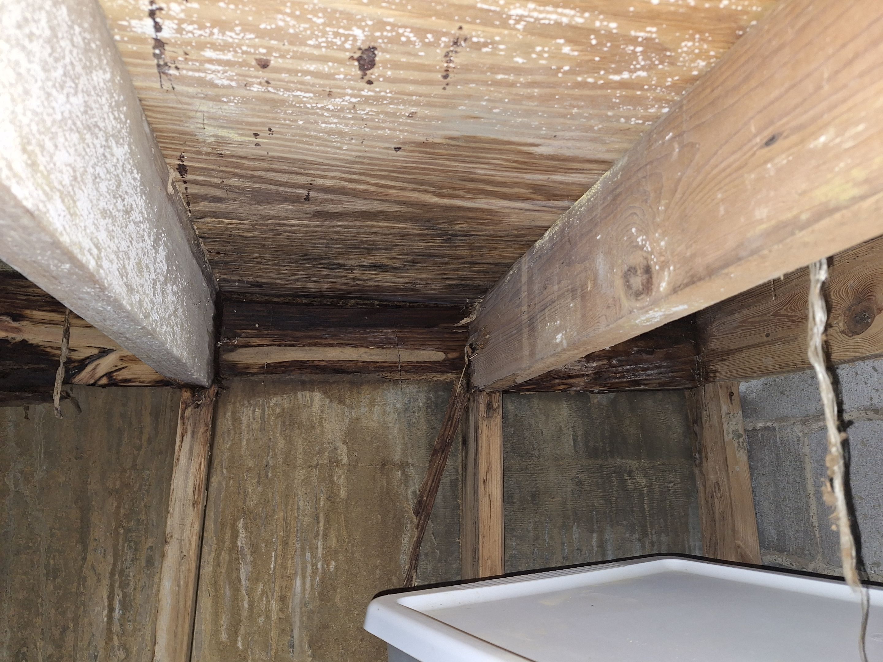 Basement Remediation by ANR Restoration