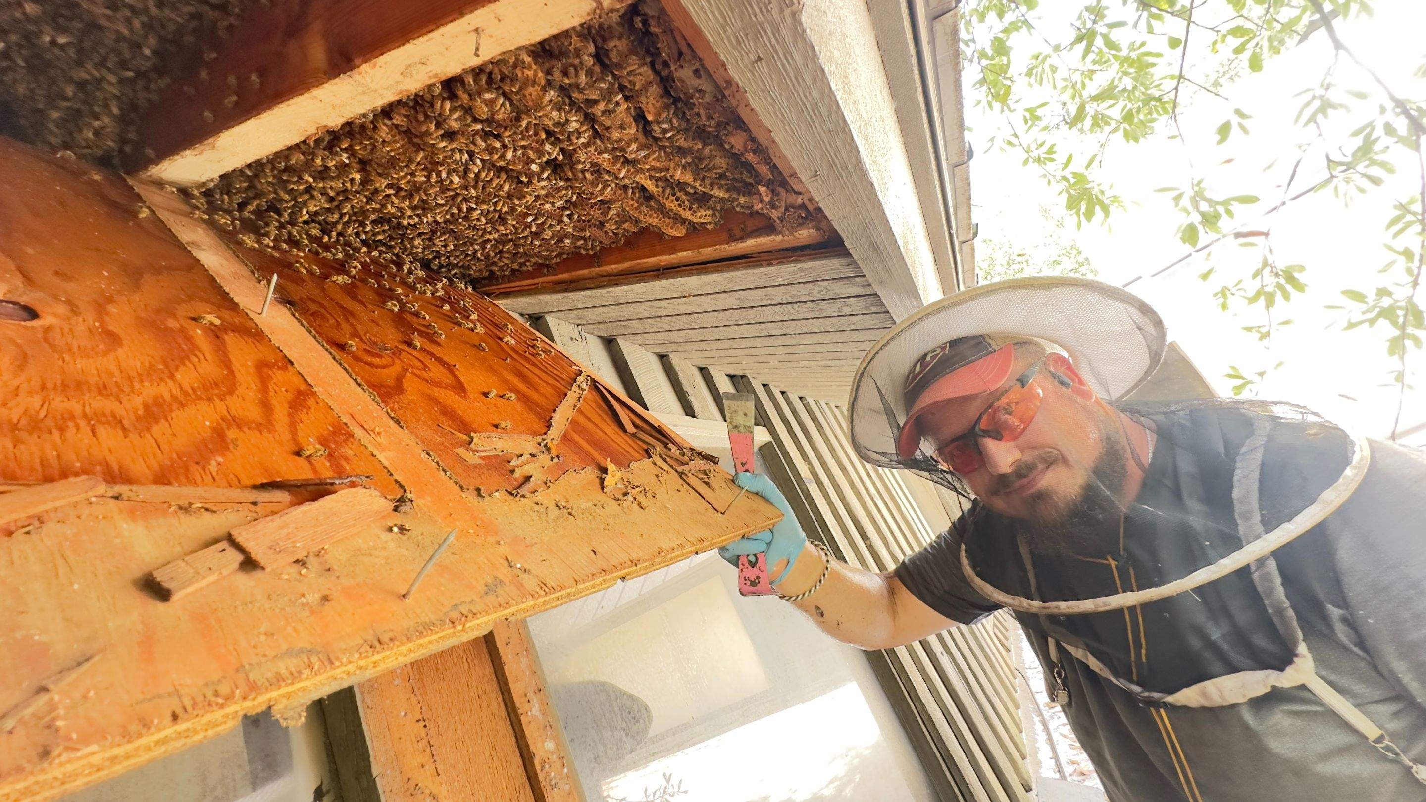 Old Faithful by Rockwall Honey Bee Company