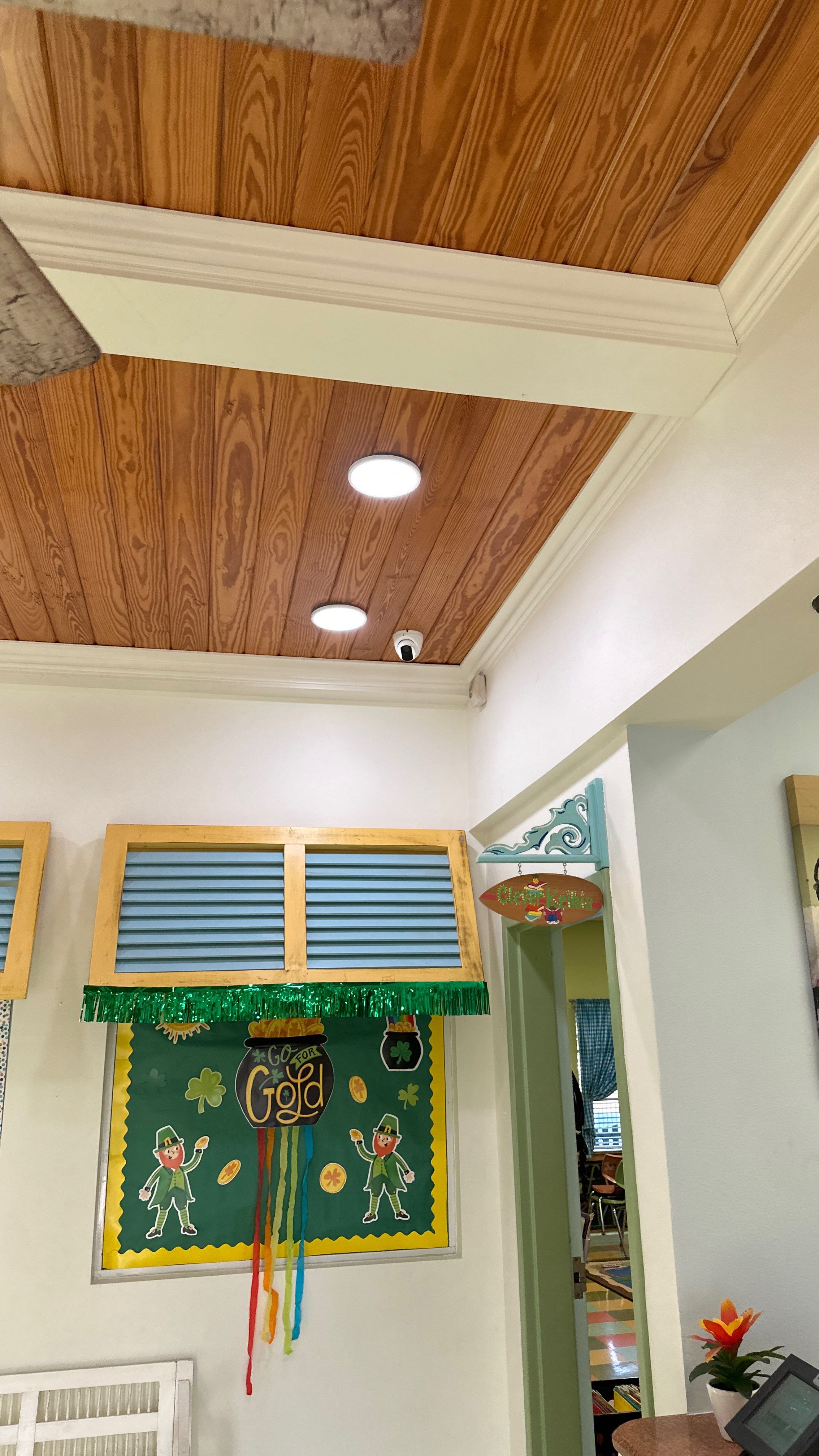 Surveillance Camera System - Commercial  by TeleCommPro