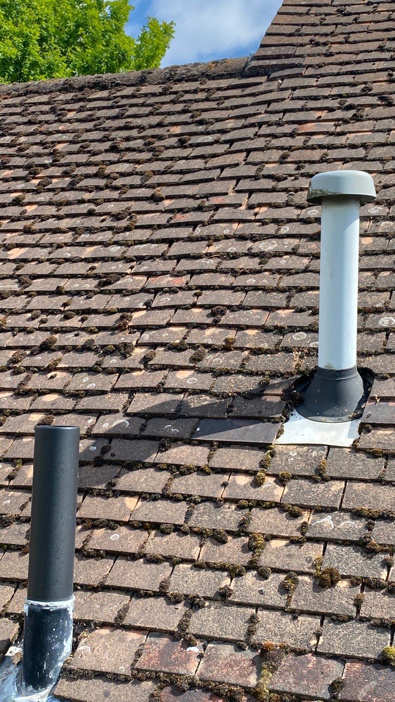 Roof Clean - Moss Removal using Honda 15lpm Low Pressure Washing Machine by Ges Exterior Cleaning ltd