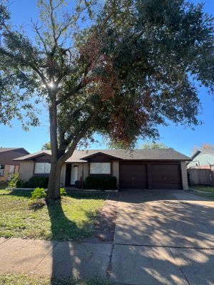 Project in Garland