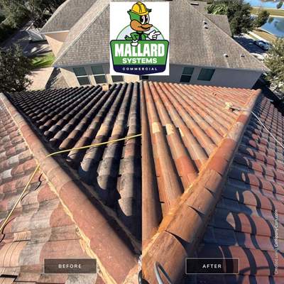 Barrel Tile Roof Cleaning