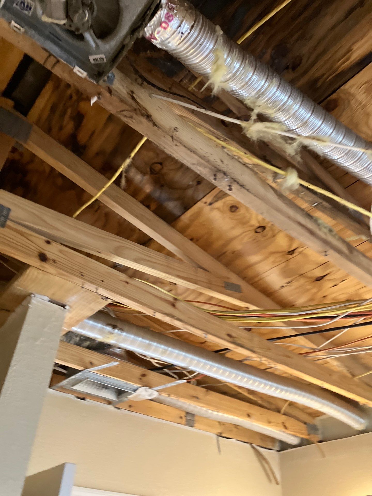Home Mold Removal by Ampm Restoration Services