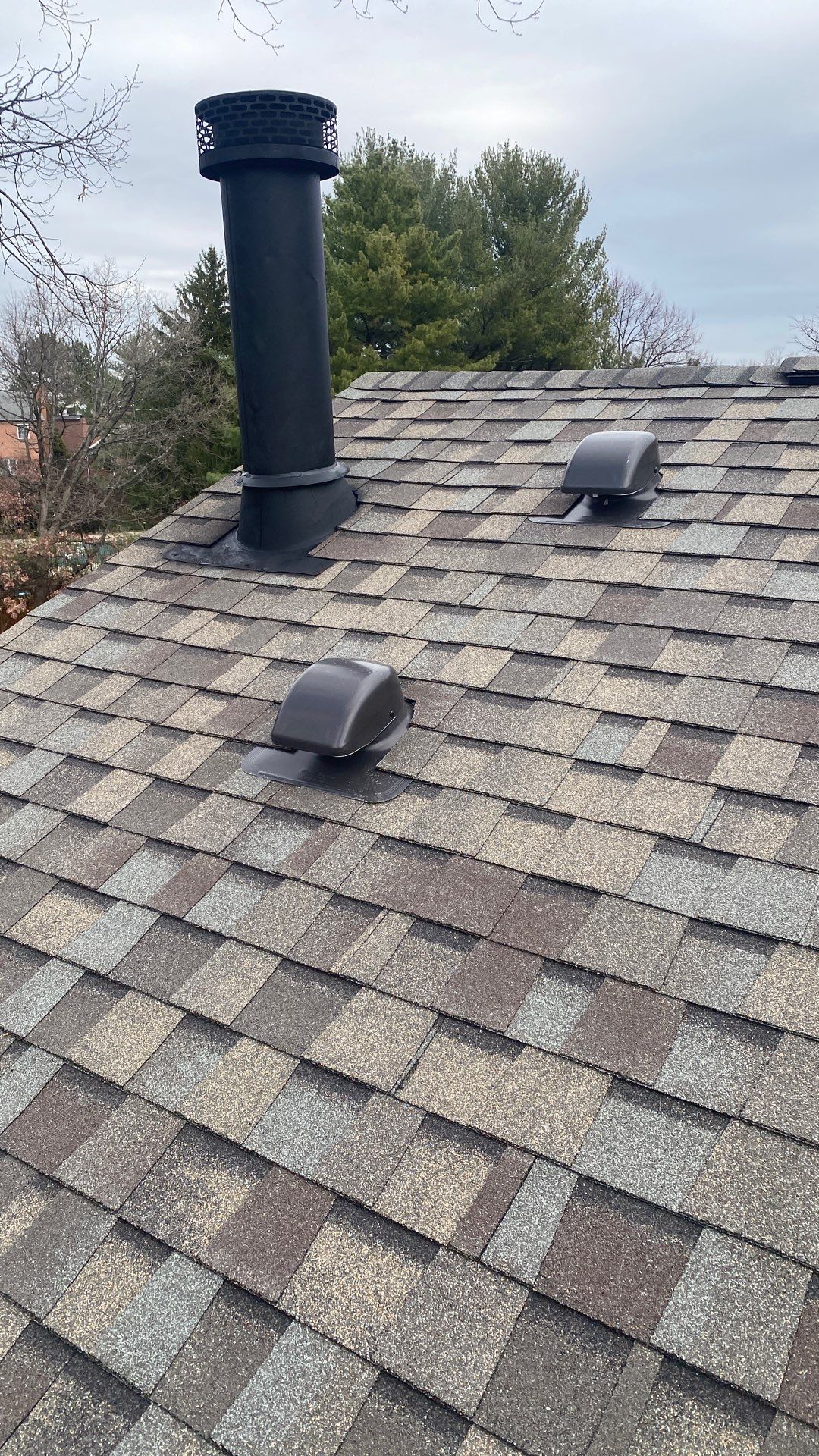 Vienna: Residential Roof Replacement with CertainTeed Landmark Pro in Max Def Weathered Wood by RM Banning, Inc.