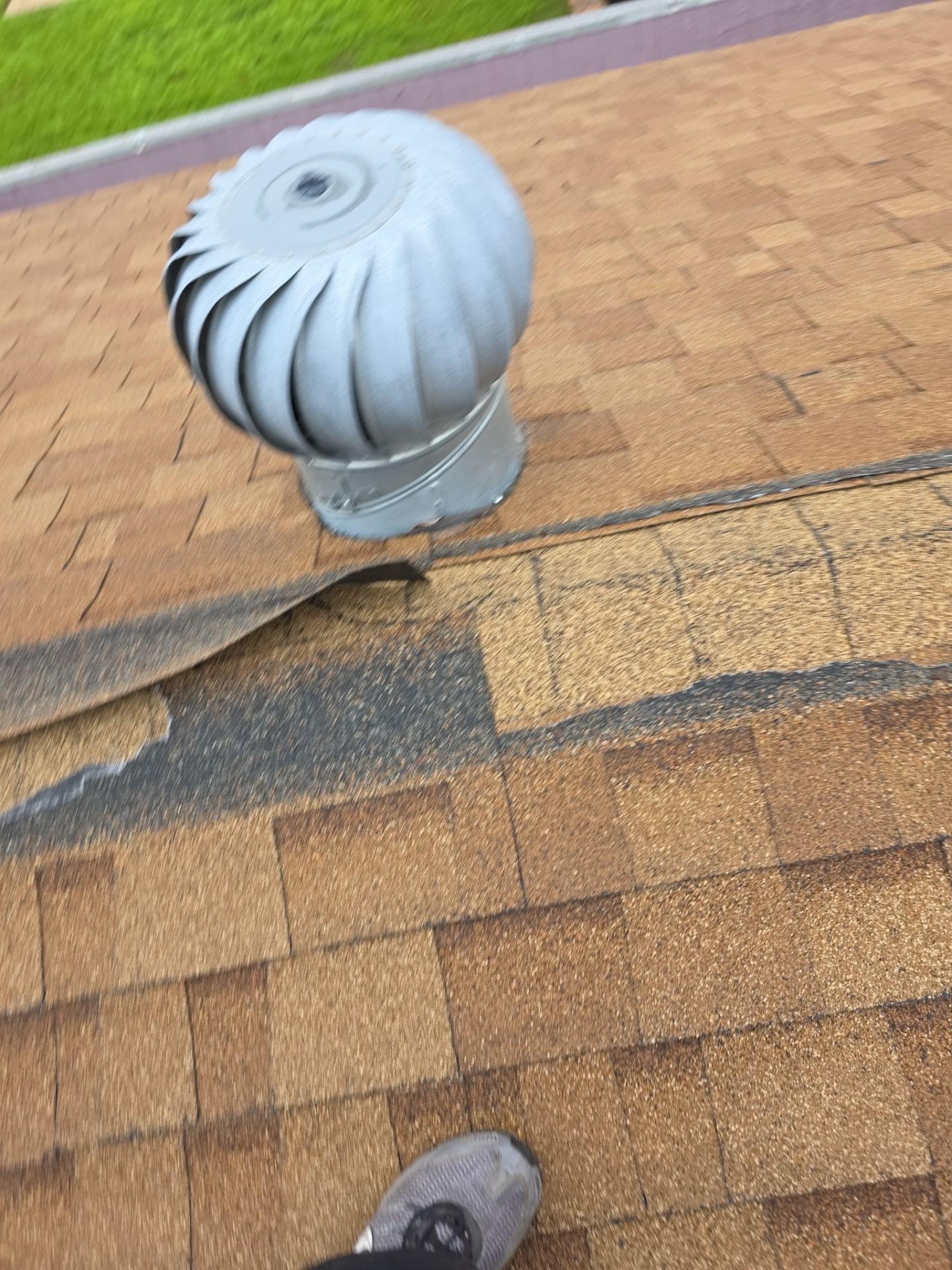 Roof Rejuvenation using Roof Maxx Treatment by Roof Maxx of Folsom
