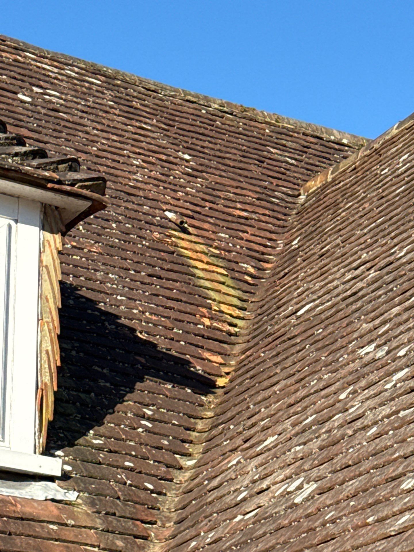 Roof Clean  - Moss Removal - Gutter Clean using Honda 15lpm Low Pressure Washing Machine by Ges Exterior Cleaning ltd