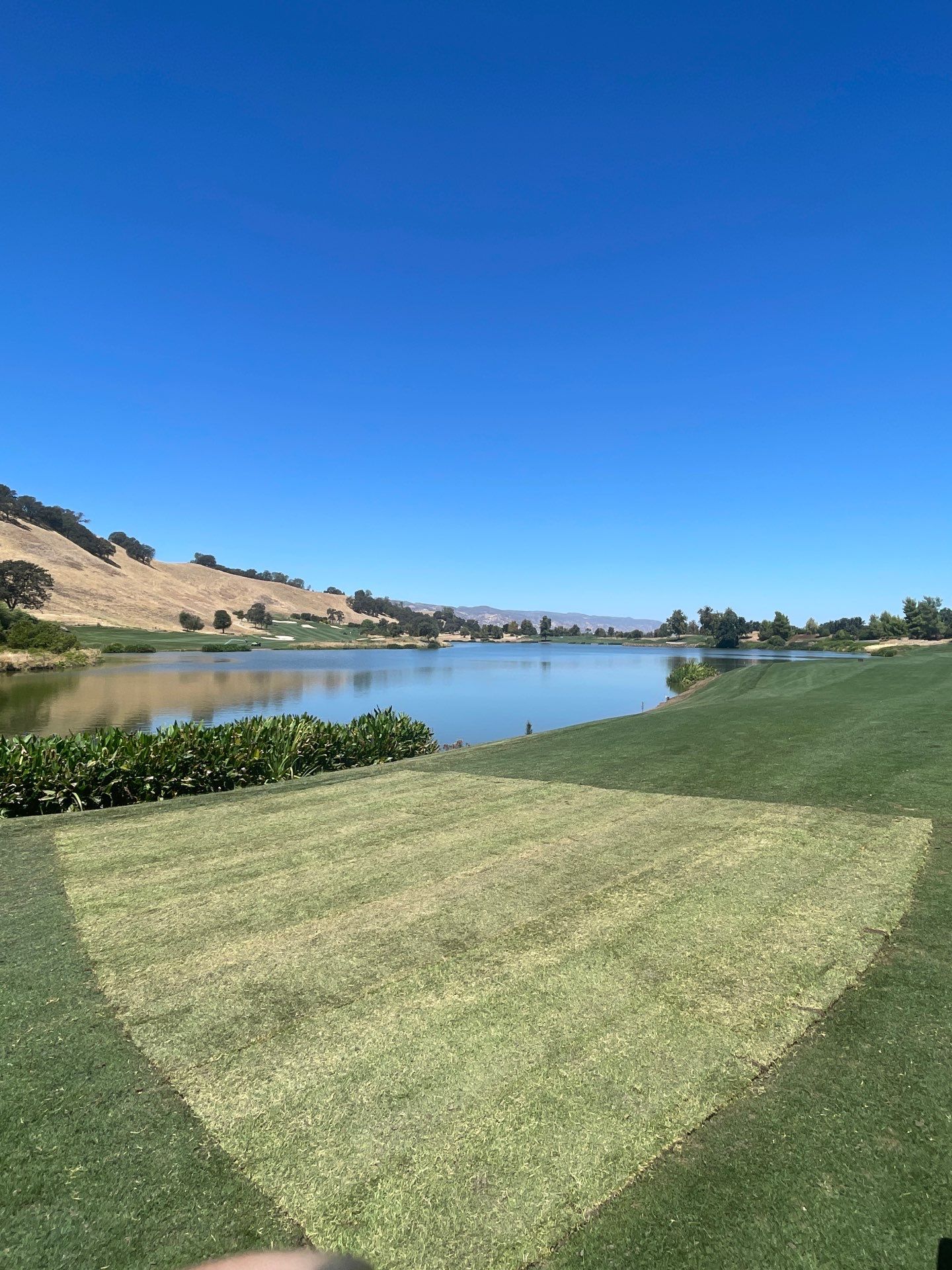 Project in Brooks by A - G Sod Farms