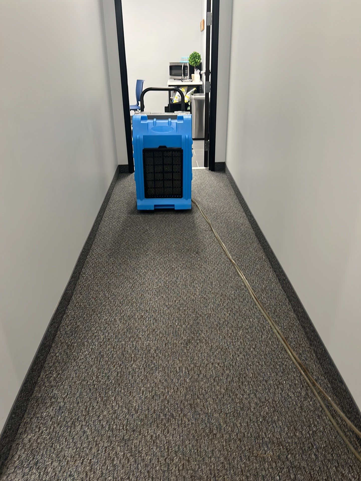 Project in Southfield by EzDry Water Mitigation & Property Restoration