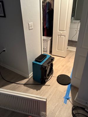 Black Mold Removal — Fort Myers, FL