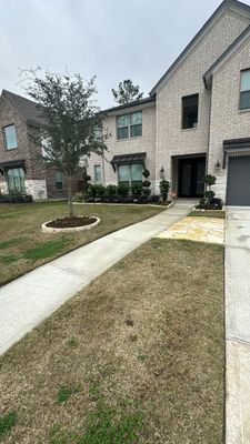 🌿✨ Yard of the Month – Curb Appeal with Drainage, Irrigation & Walk Path