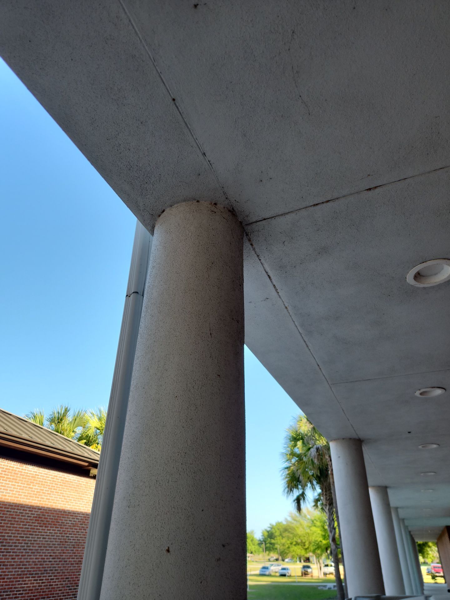 Project in Lake Wales by Drone Clean