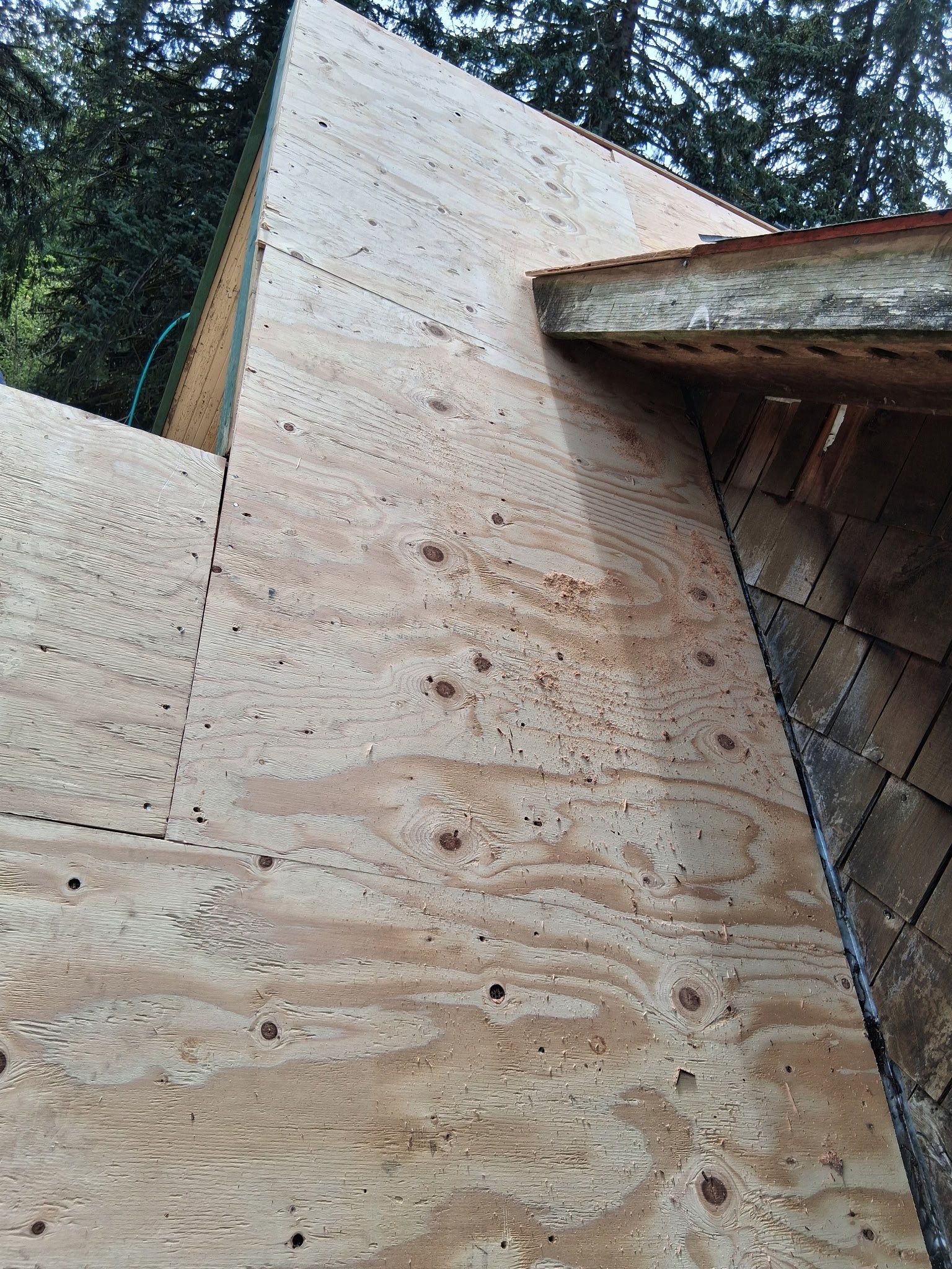 Project in Gresham by Tom Leach Roofing