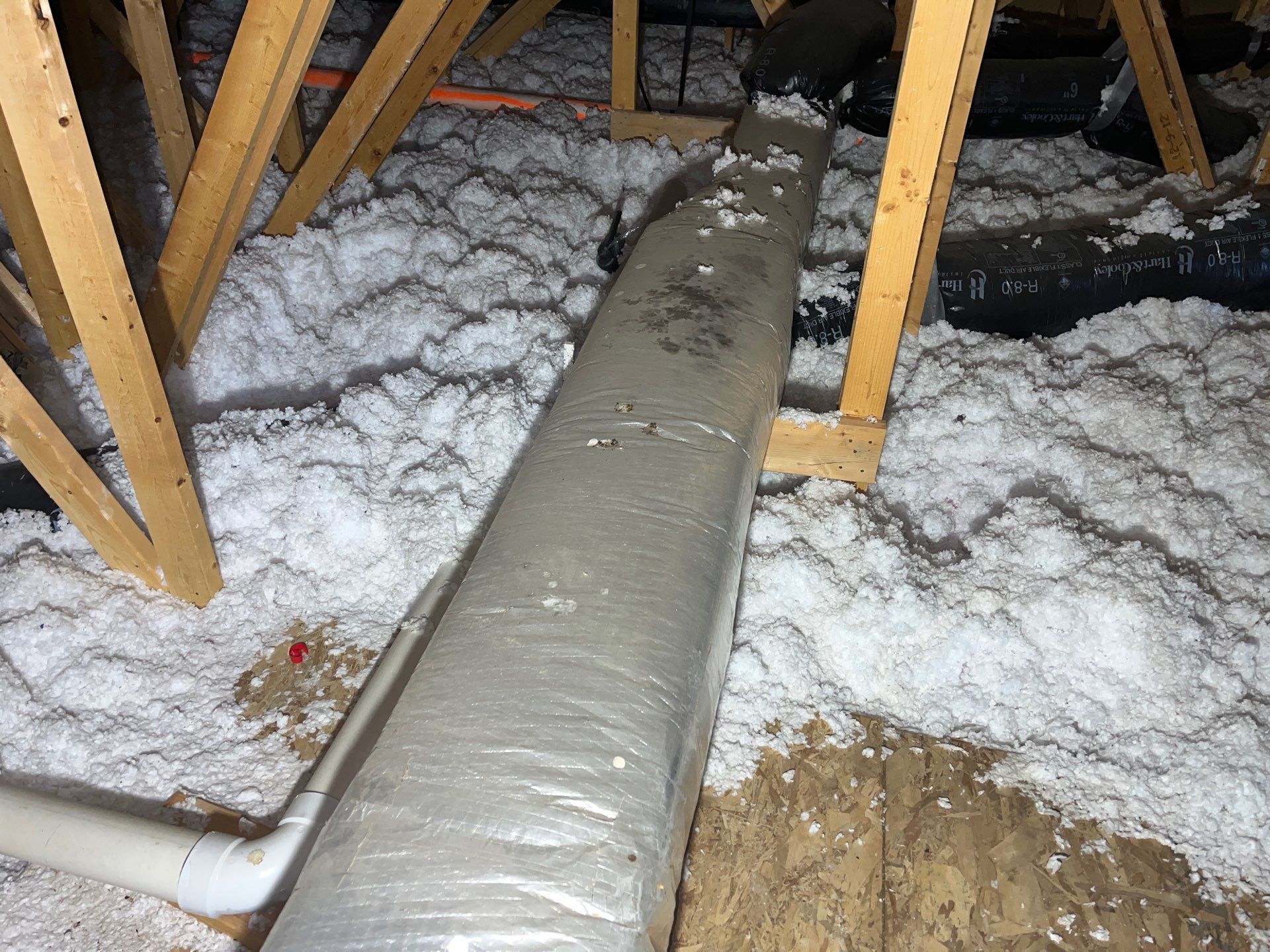 Sanitizing and Transforming a 2,100 sq ft Attic for a Better Home Performance by Home Environment Solutions