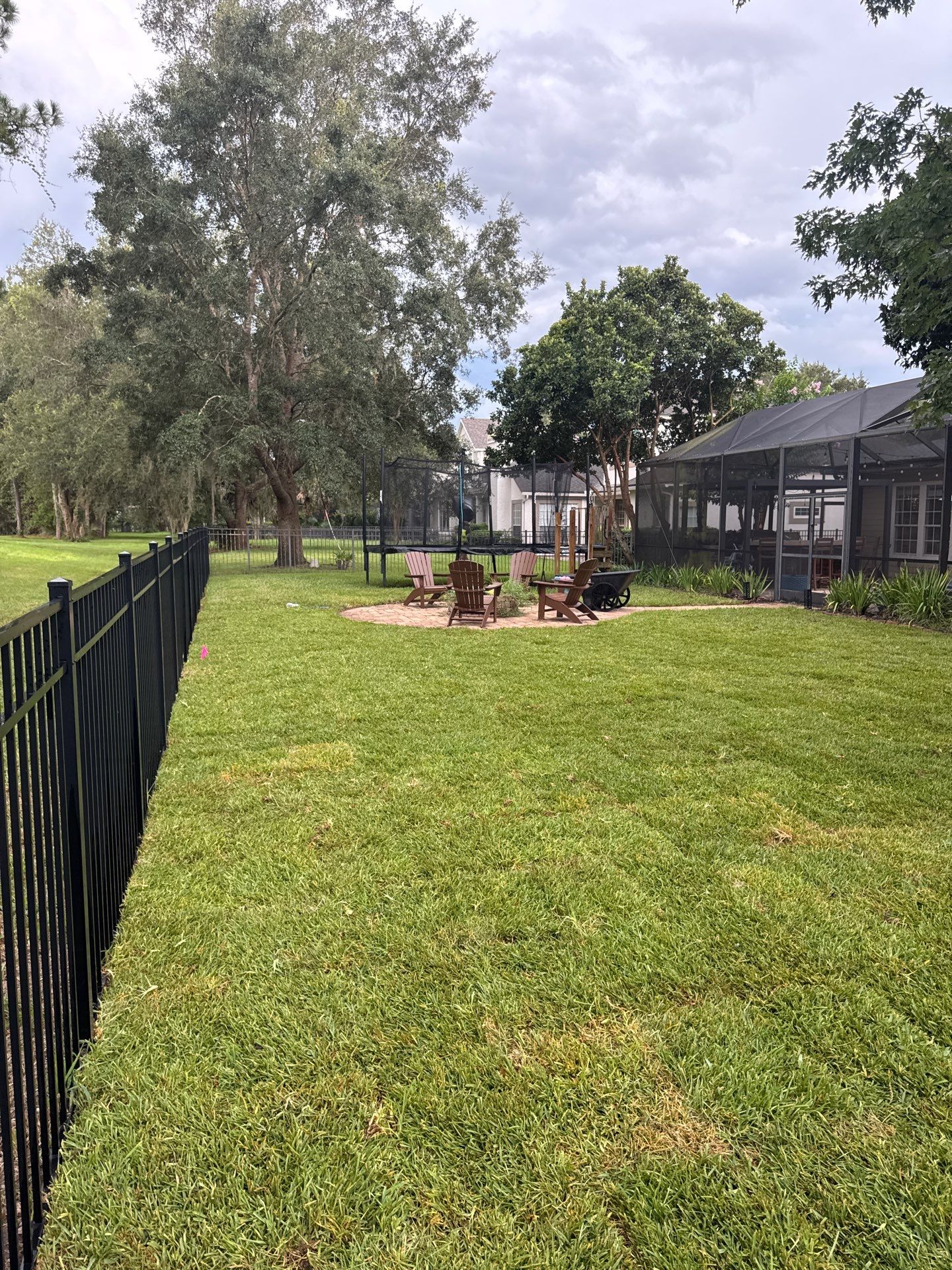 Residential | Sod Installation & Tree Trimming by ProGreen Services